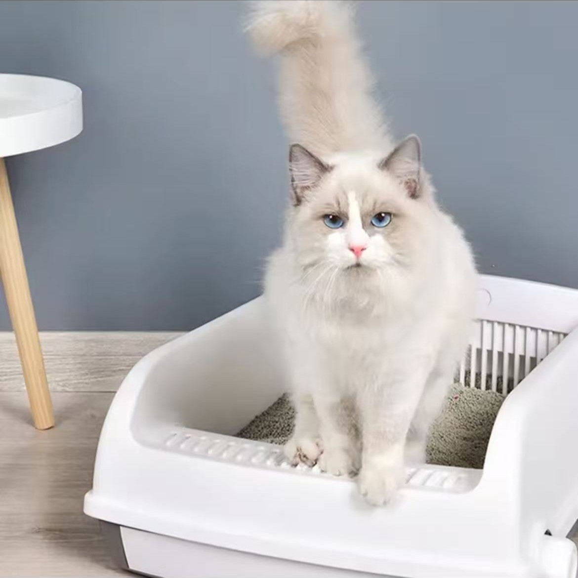 Modern Cat Litter Box
