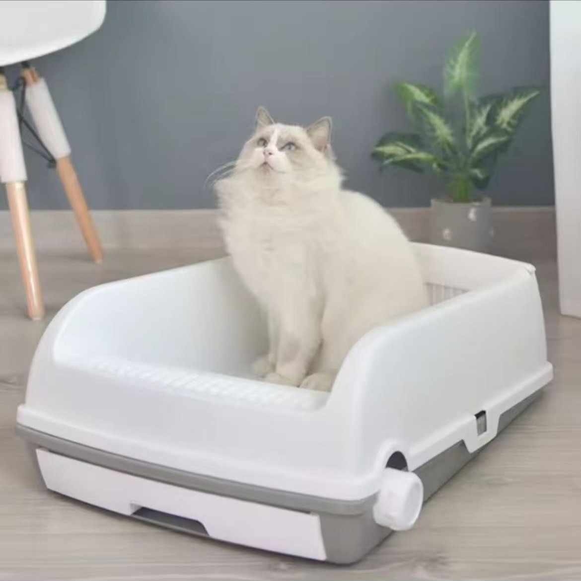 Modern Cat Litter Box