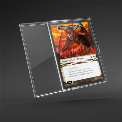 Slide Card Case 1 unidad