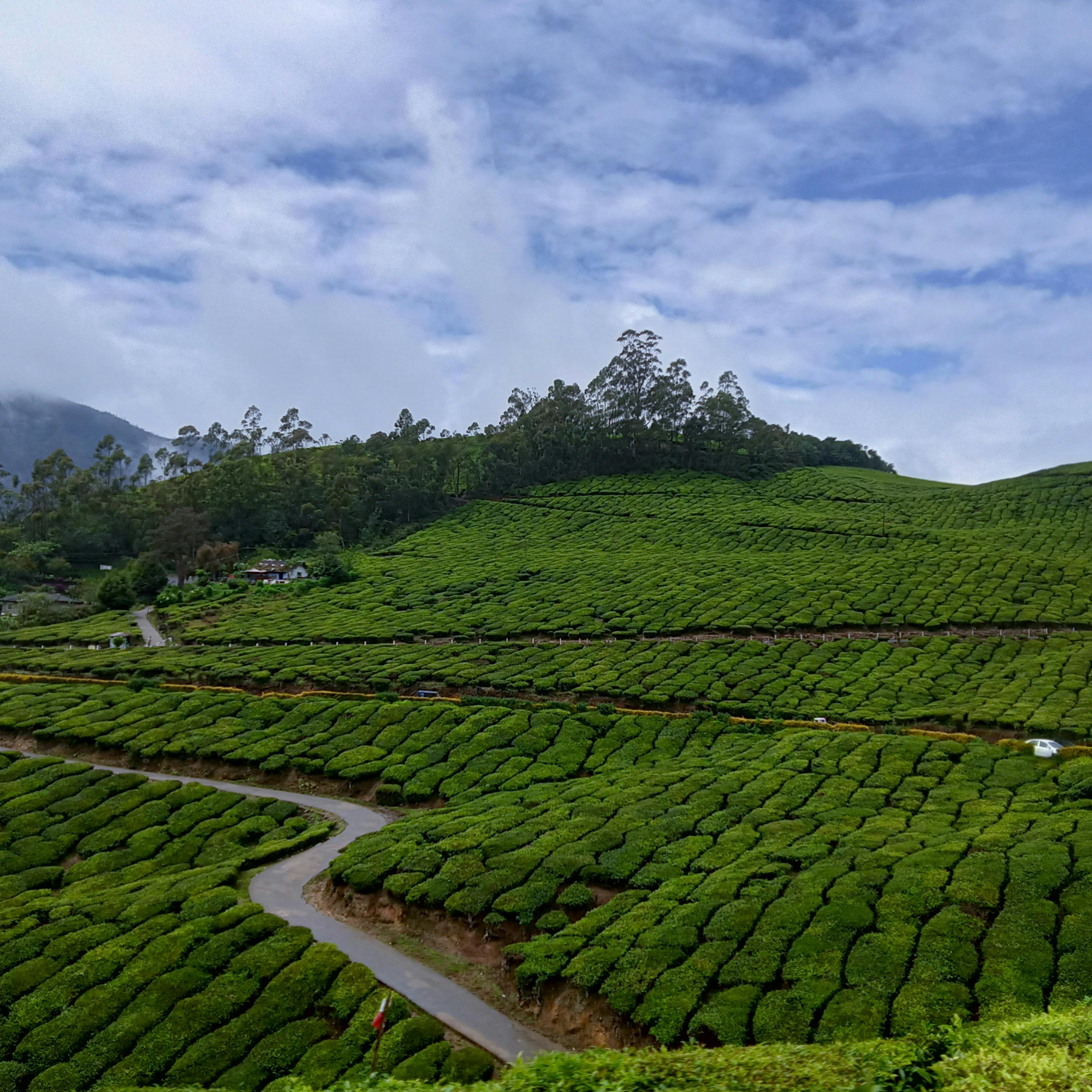 Kerala Tour Package 4 Days
