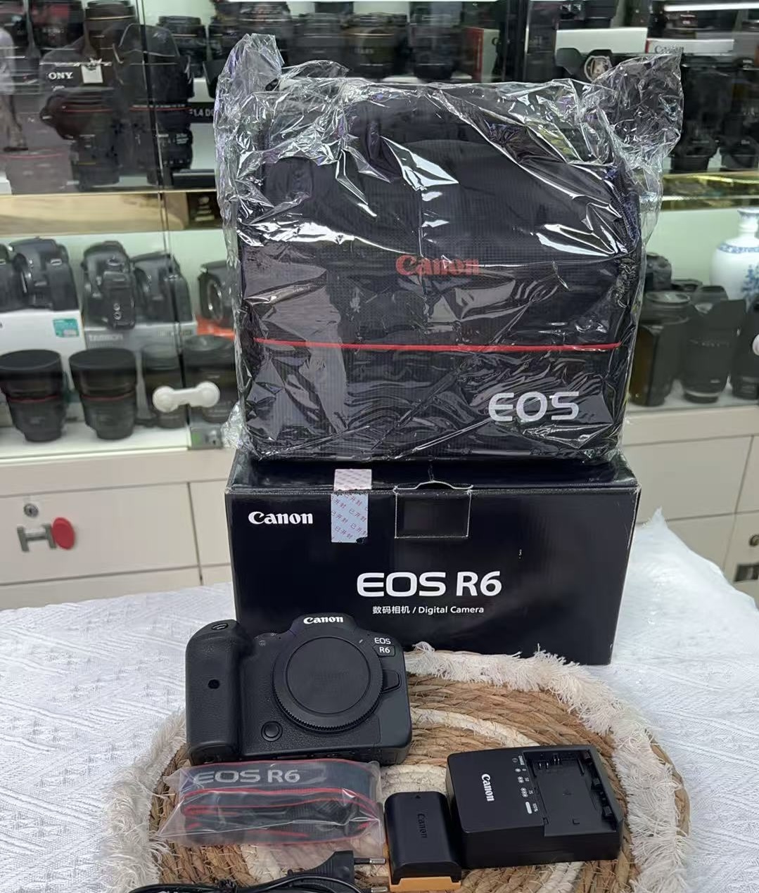 Canon EOS R6 Mirrorless Camera