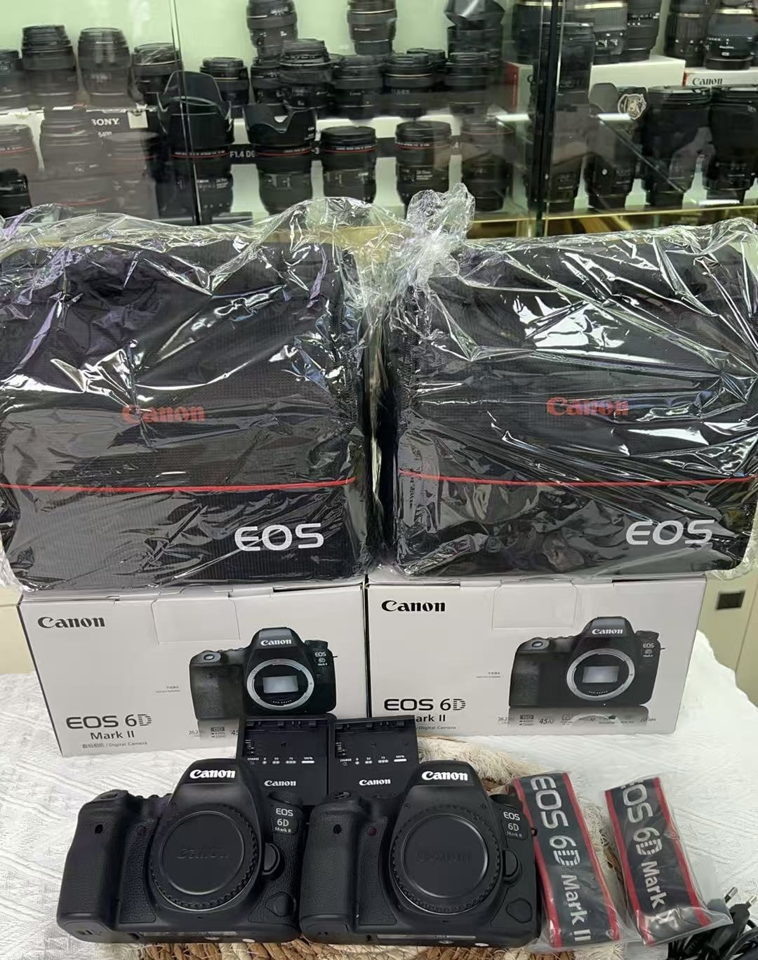 Canon EOS 6D Mark II Camera Kit
