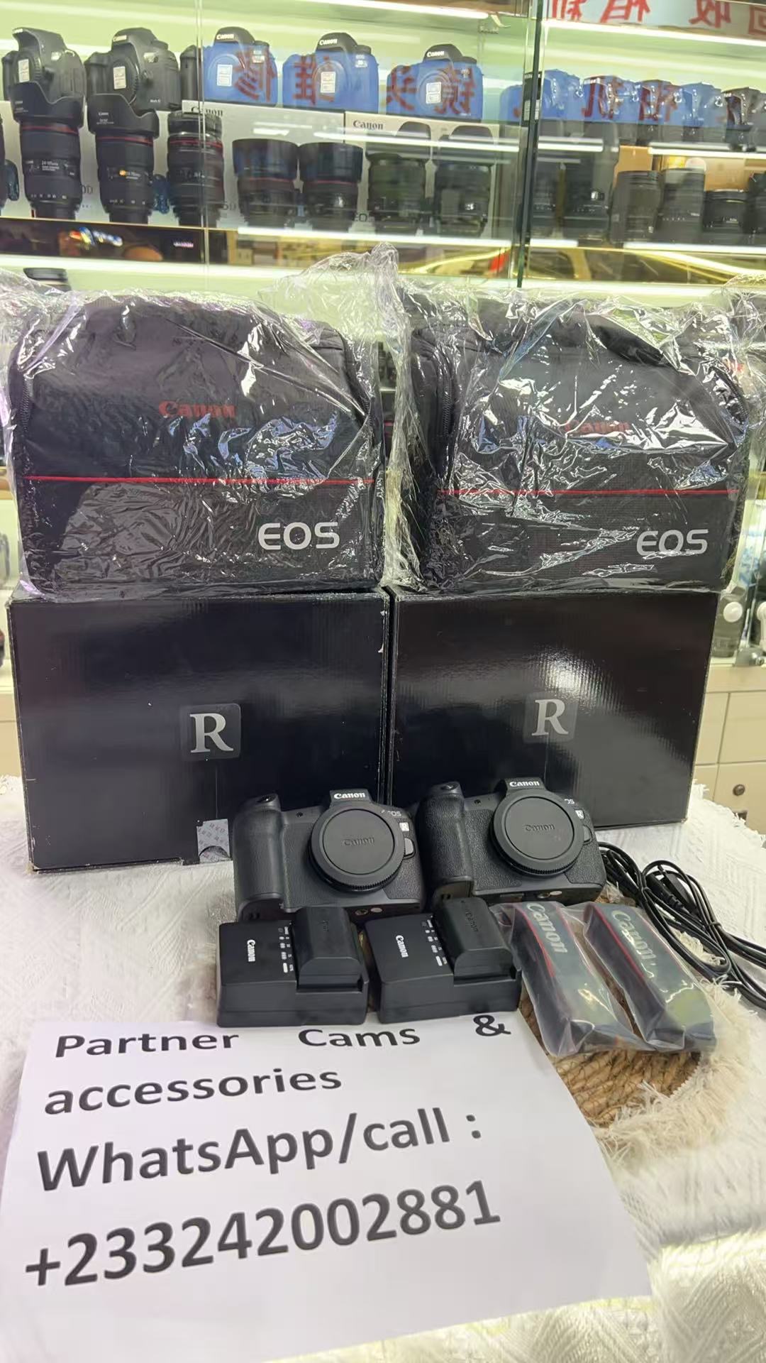 Canon EOS R Mirrorless Camera Kit