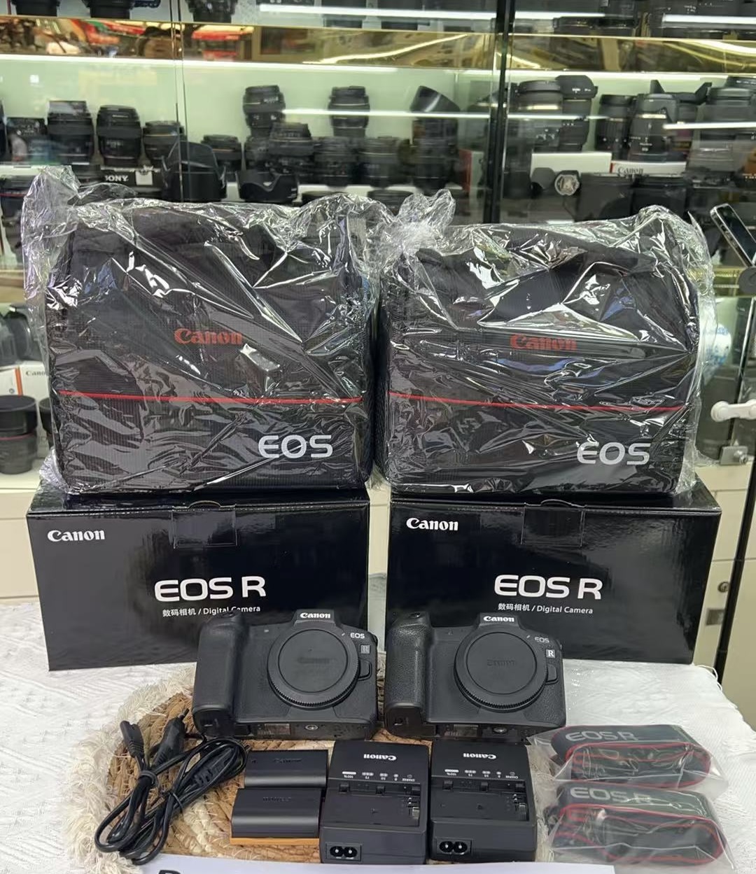 Canon EOS R Mirrorless Camera 