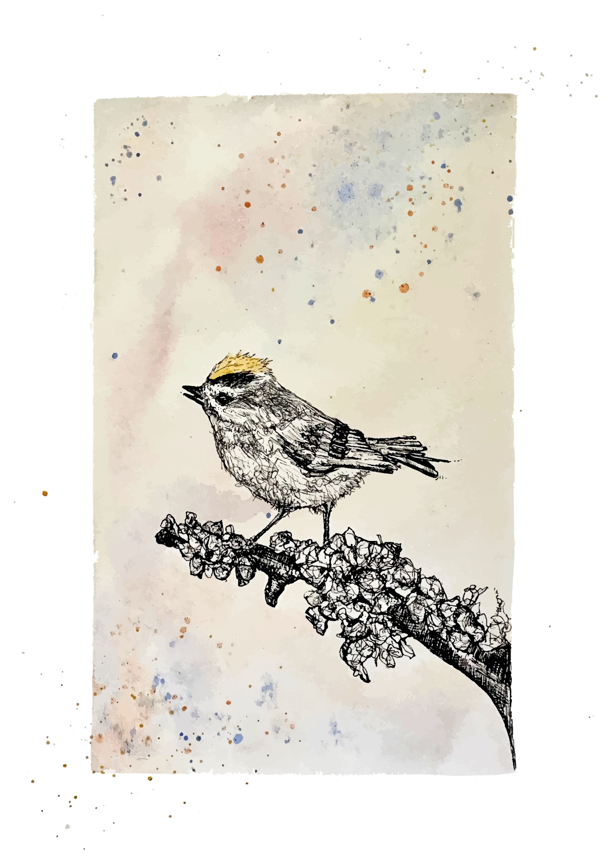 Goldcrest Giclée 1