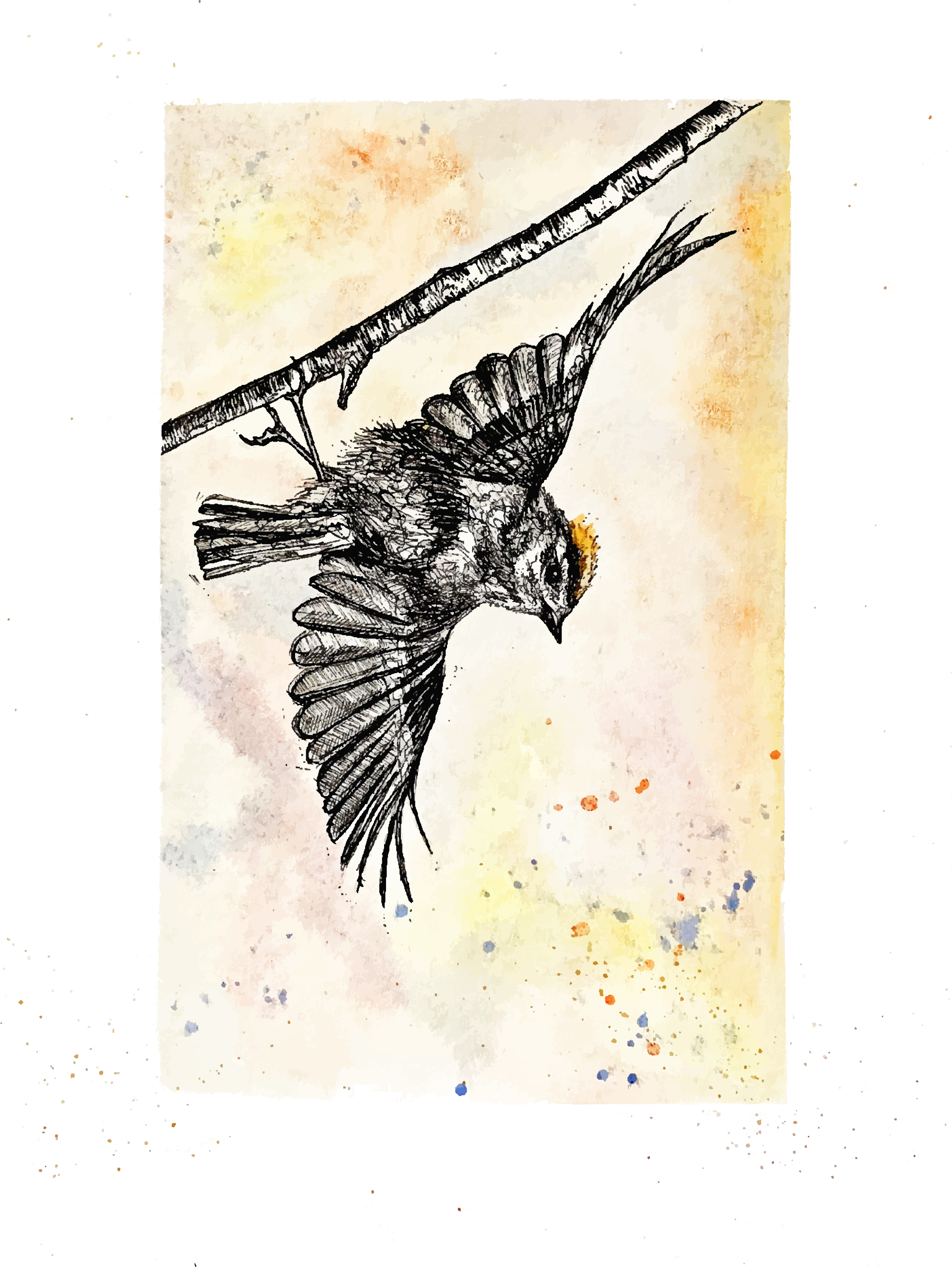 Goldcrest Giclée 2