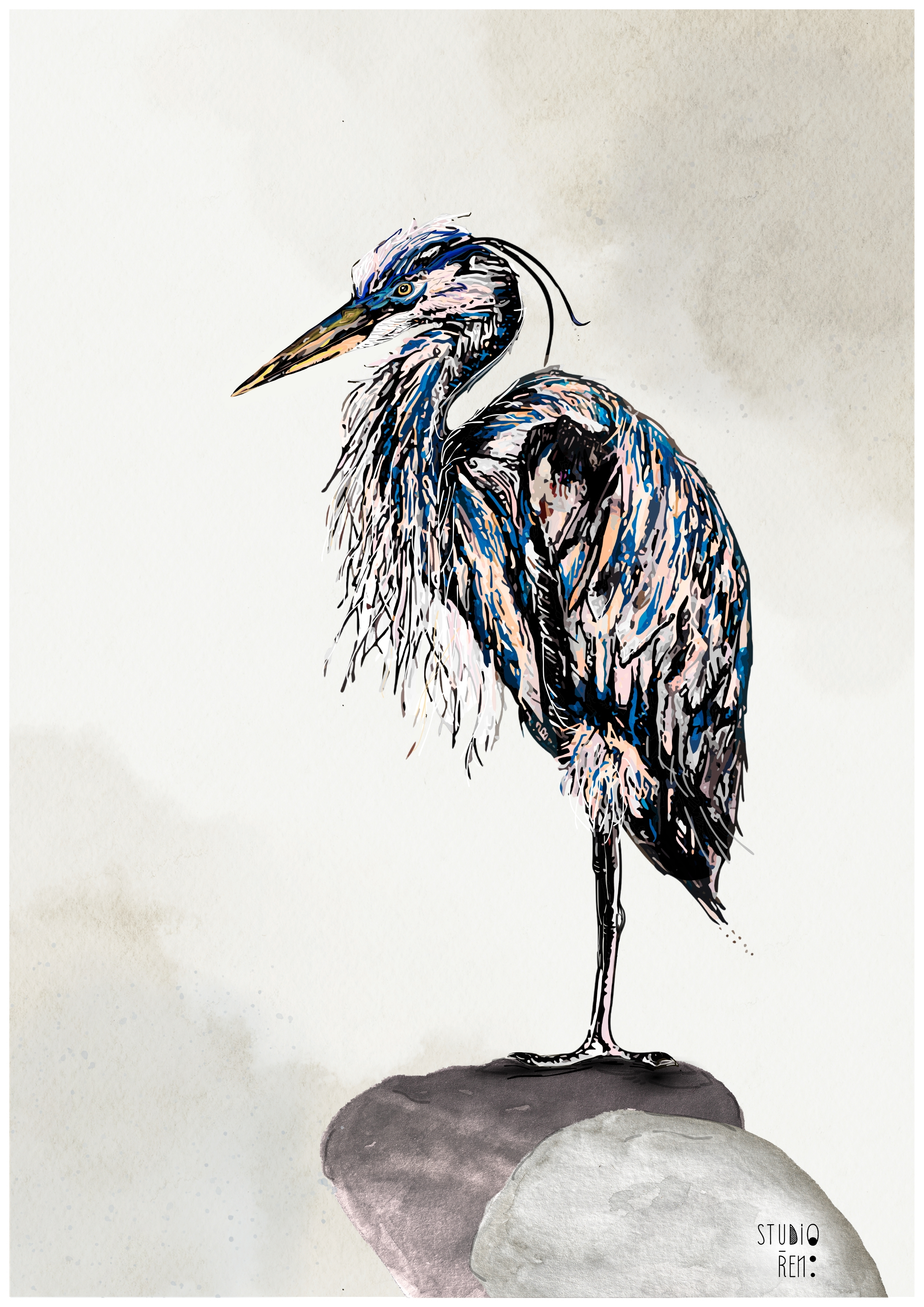 Great Blue Heron Giclée
