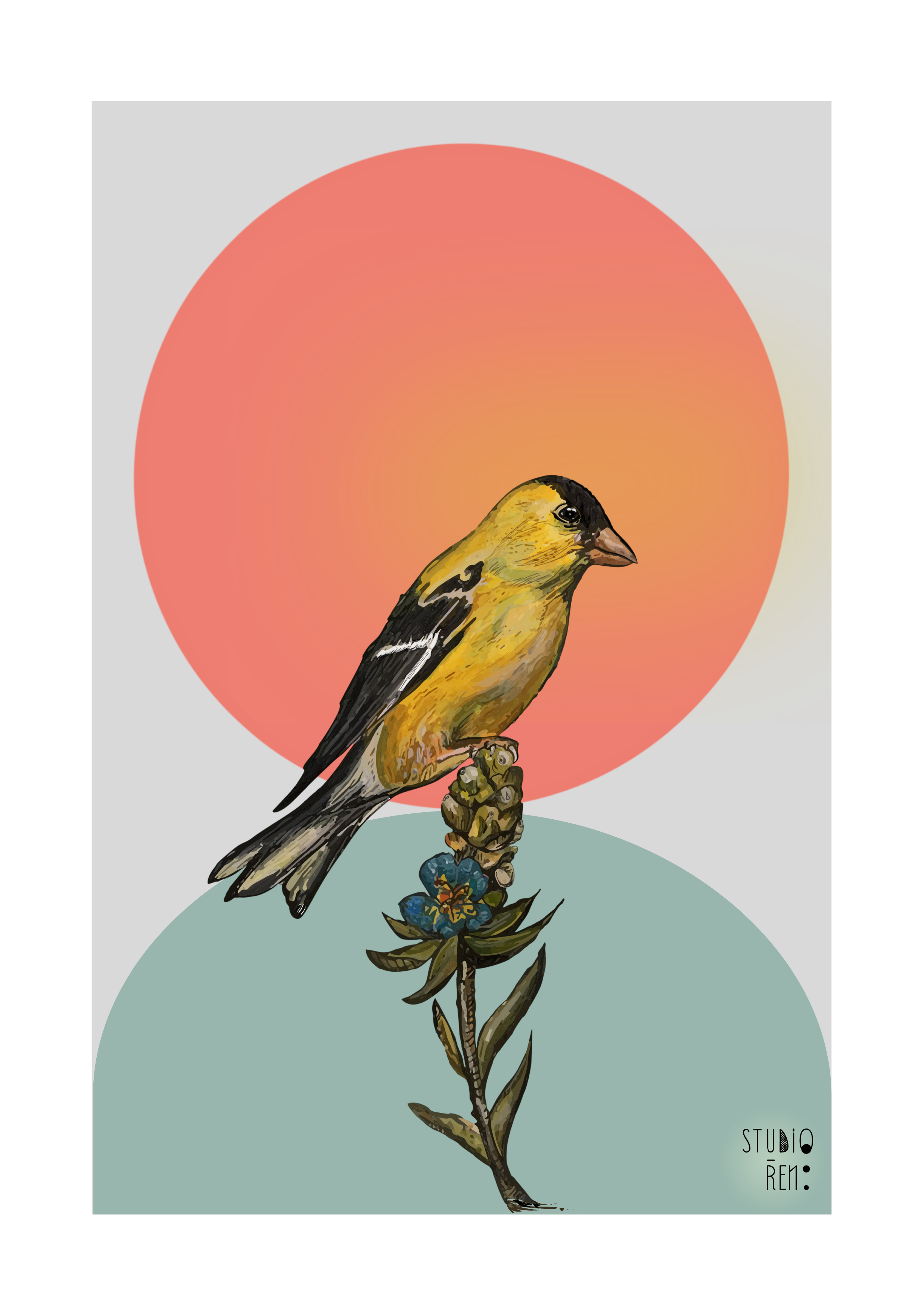 Goldfinch Giclée