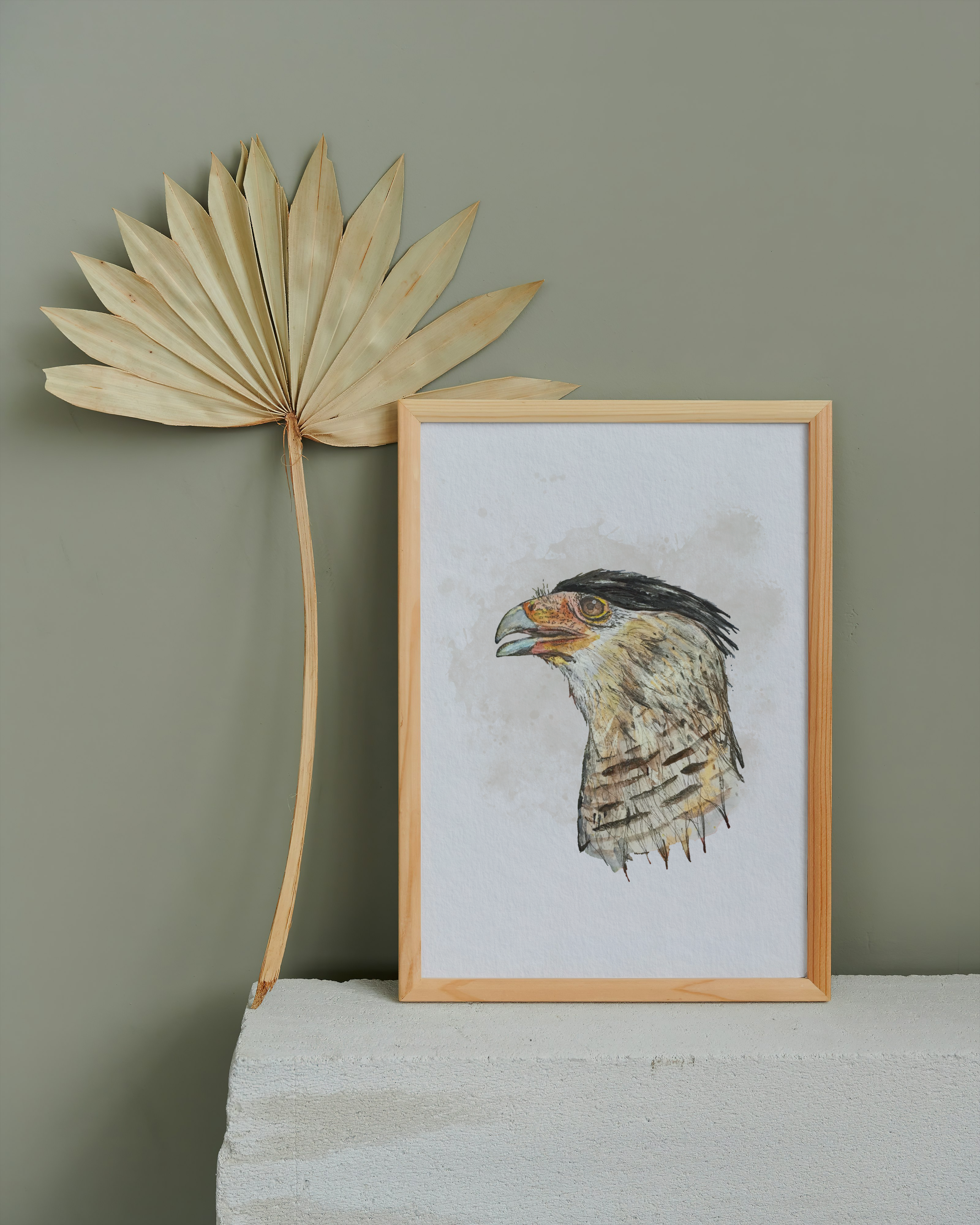 Crested Caracara Giclée