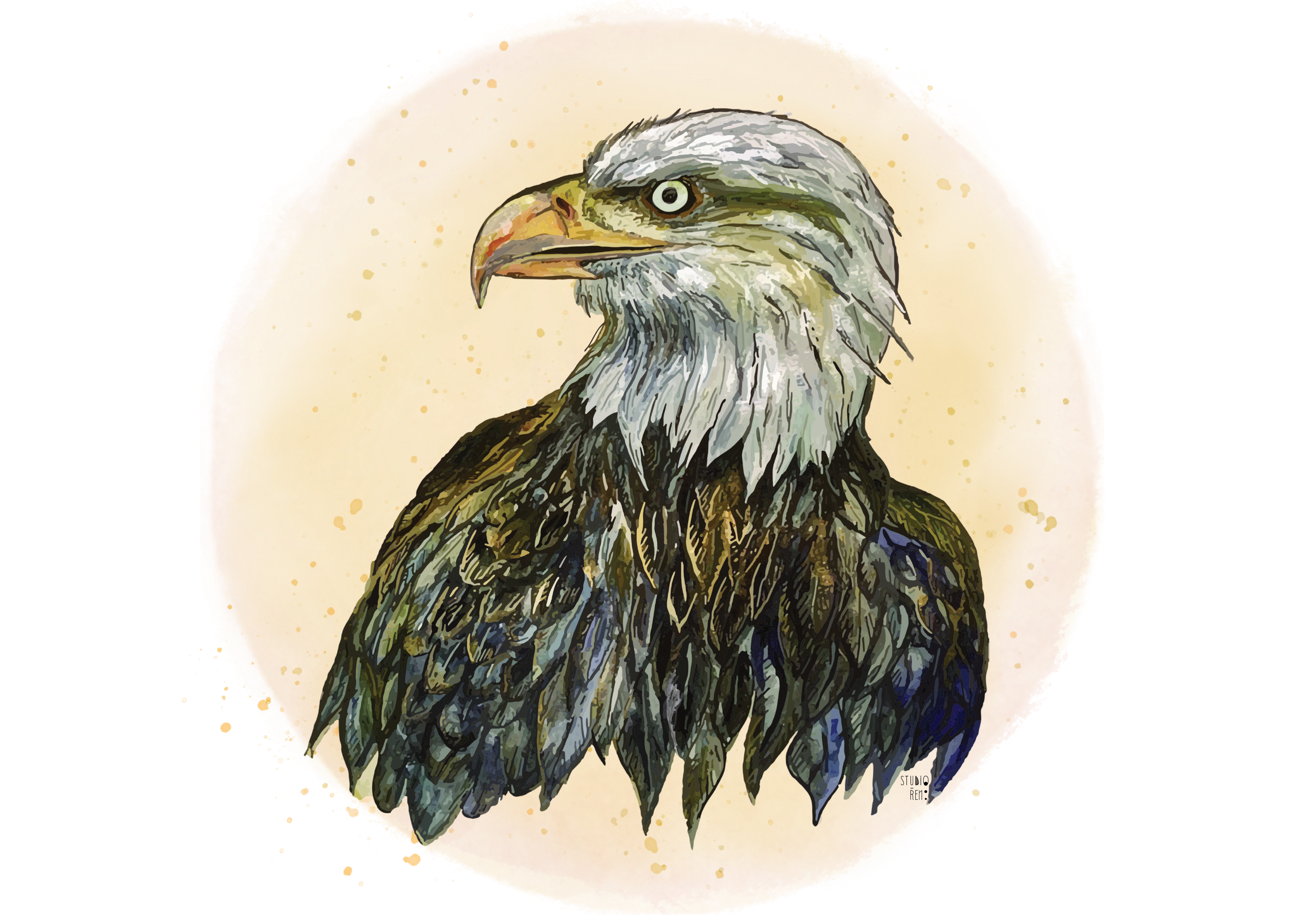 Bald Eagle Art Giclée