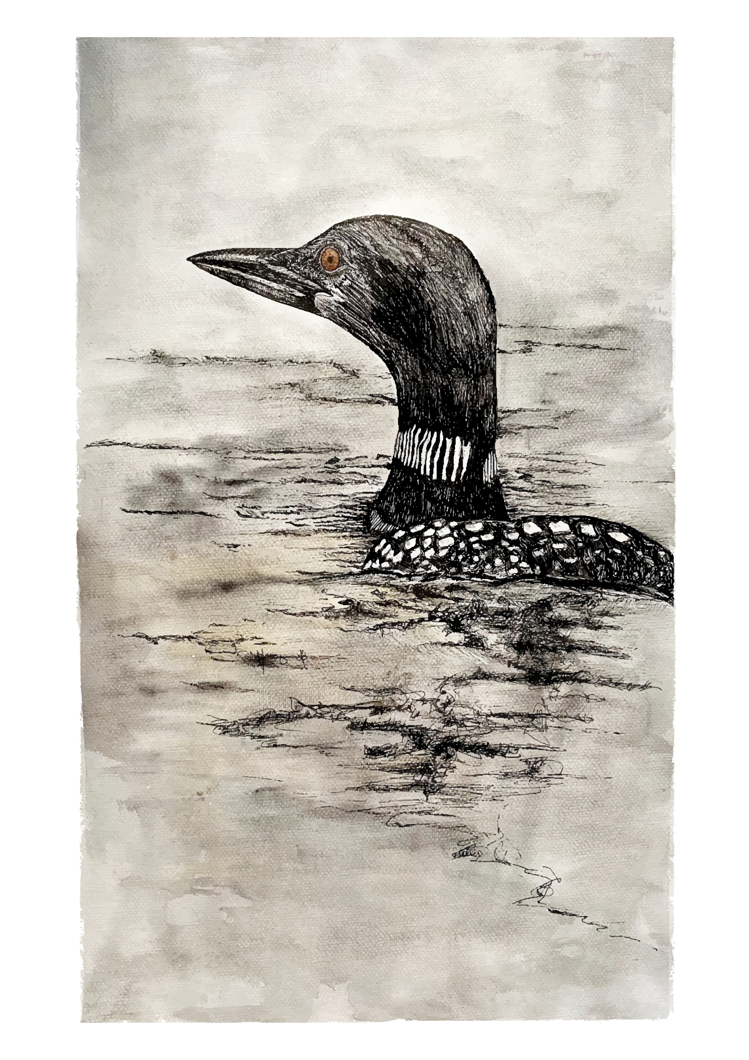 Loon Watercolor Giclée