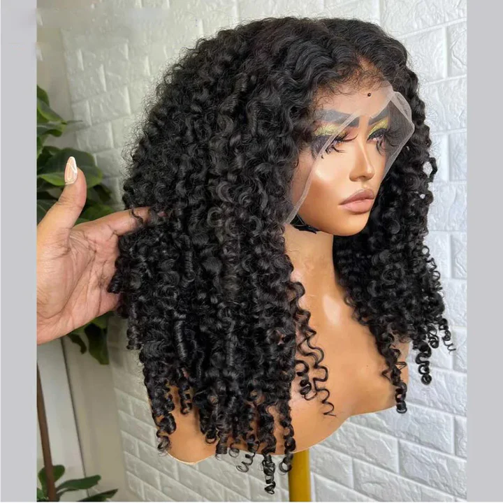 Short Curly Lace Front Wig