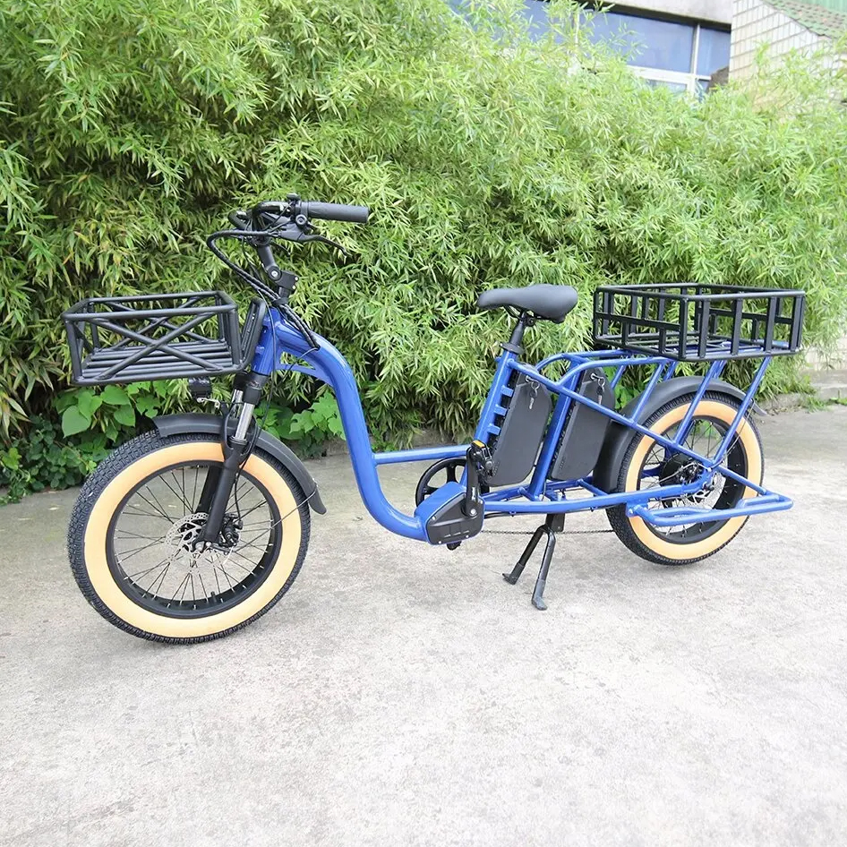 Mofun Cargo Electric Bike