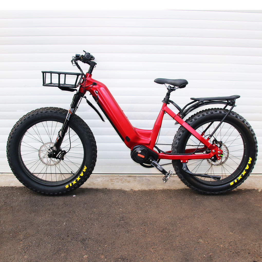 Mofun All-Terrain Fat Tire Electric Bike