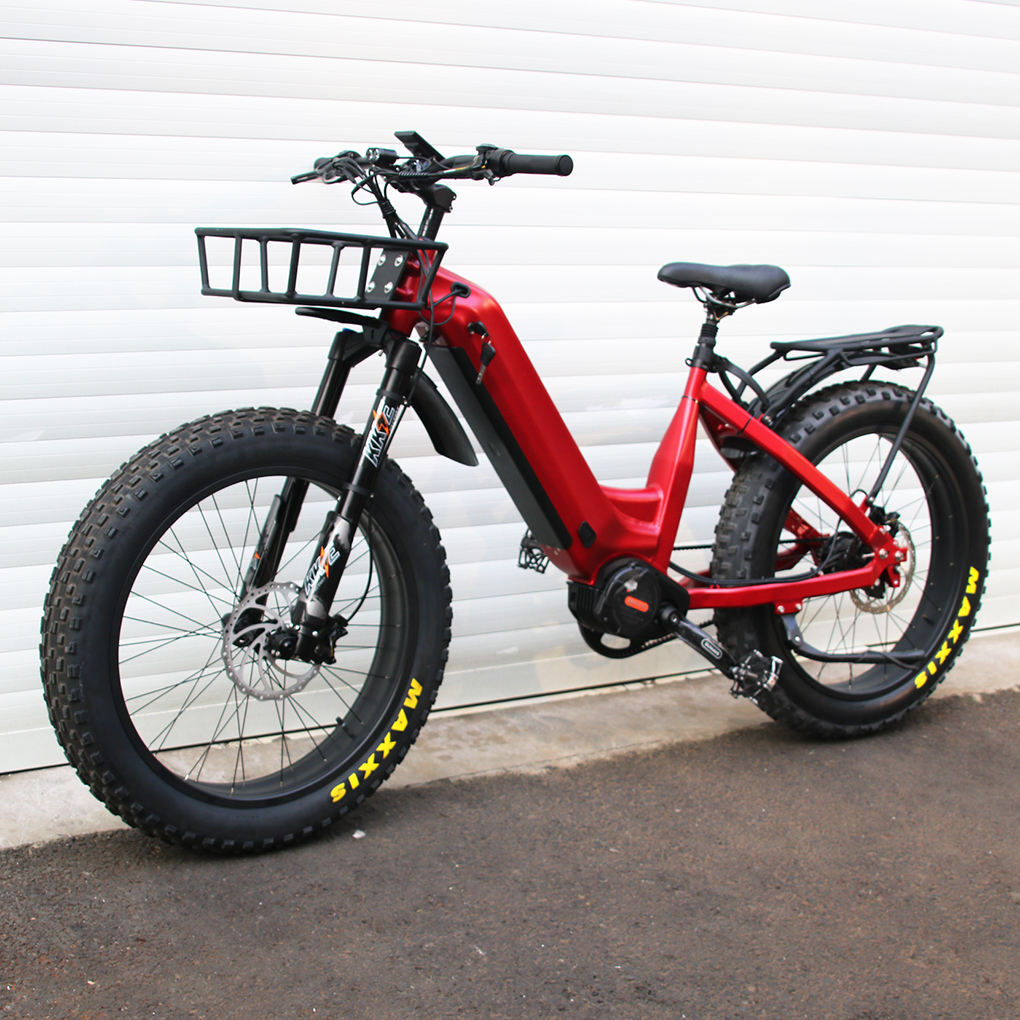 Mofun All-Terrain Fat Tire Electric Bike