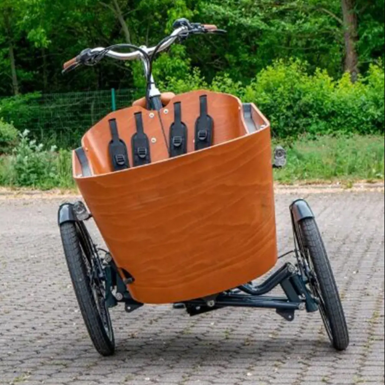 Mofun Cargo Electric Bike