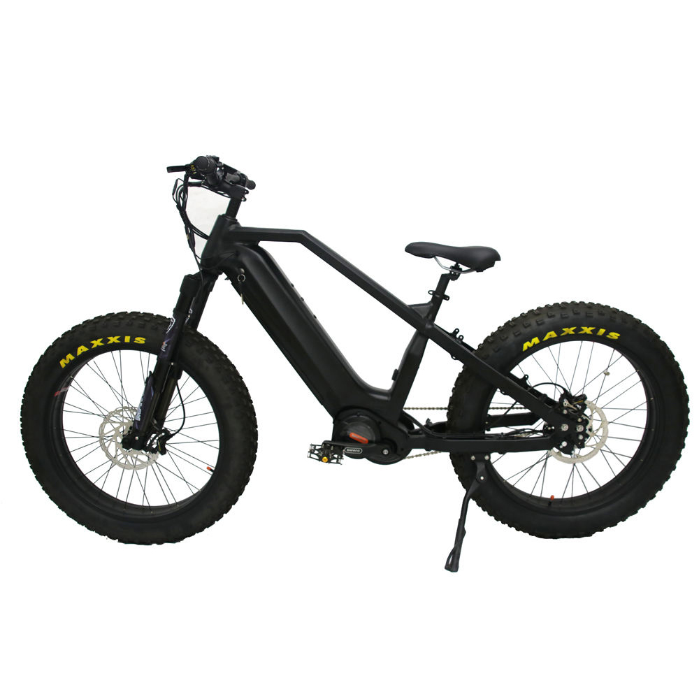 Mofun Electric Fat Tire Bike with Belt Drive