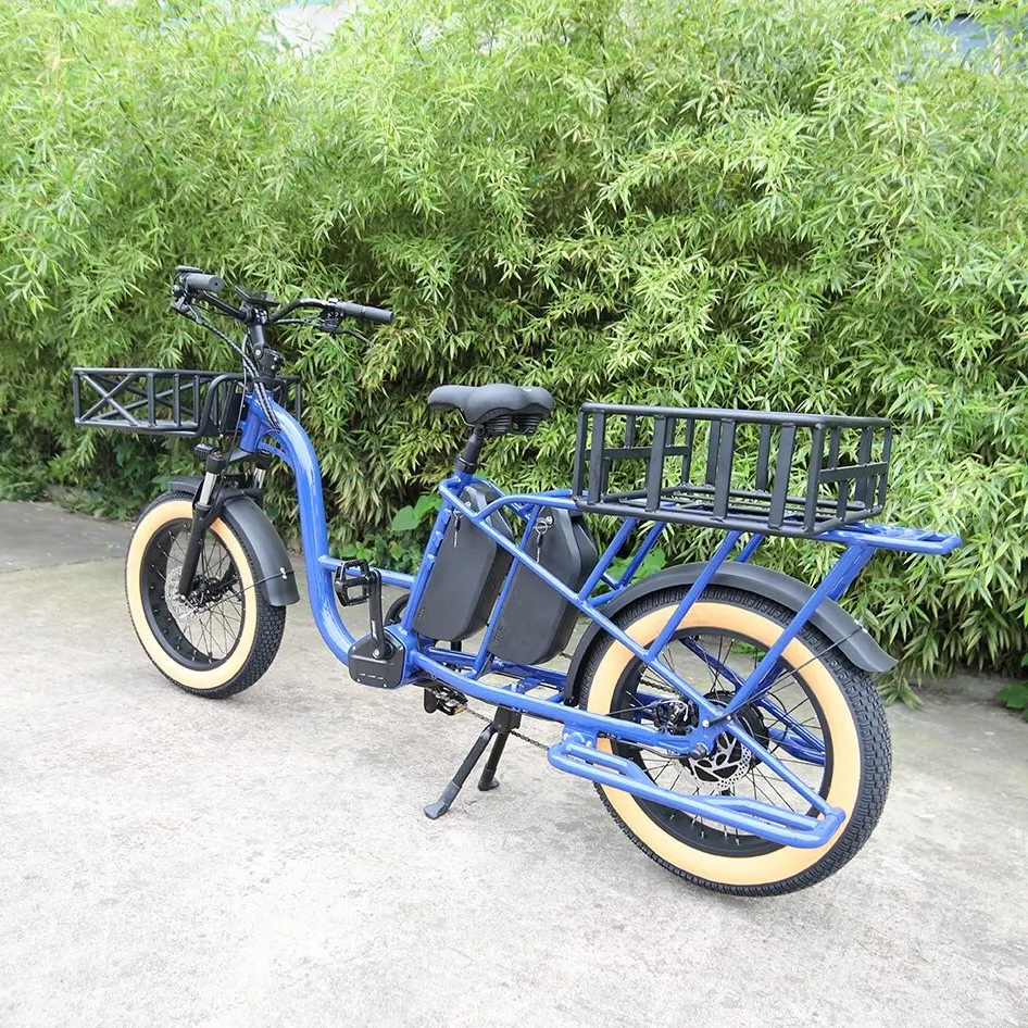 Mofun Cargo Electric Bike