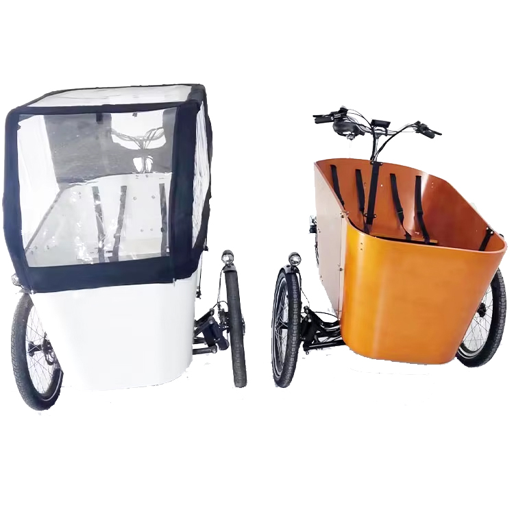 Mofun Cargo Electric Bike