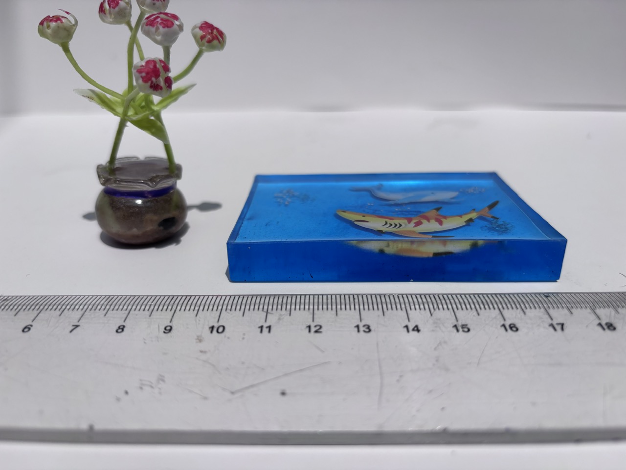 Chặn giấy (cảnh biển)