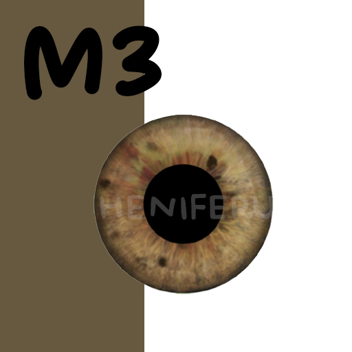 M3