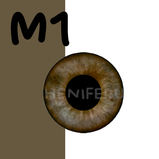 M1