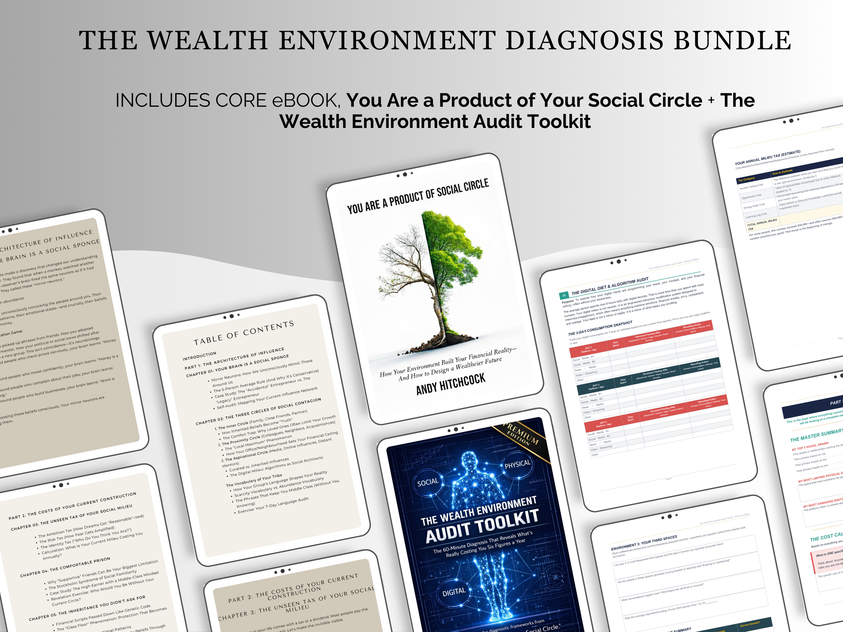 THE WEALTH ENVIRONMENT DIAGNOSIS BUNDLE