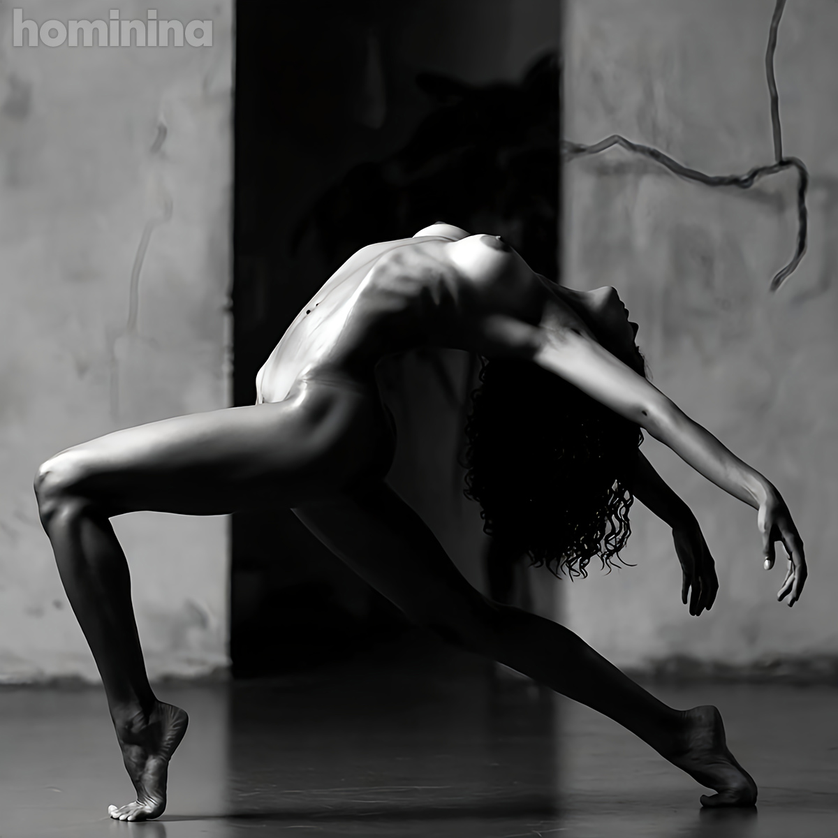 Art Nudes Vol. 10 | 60 Art Prints | Black Dancers  