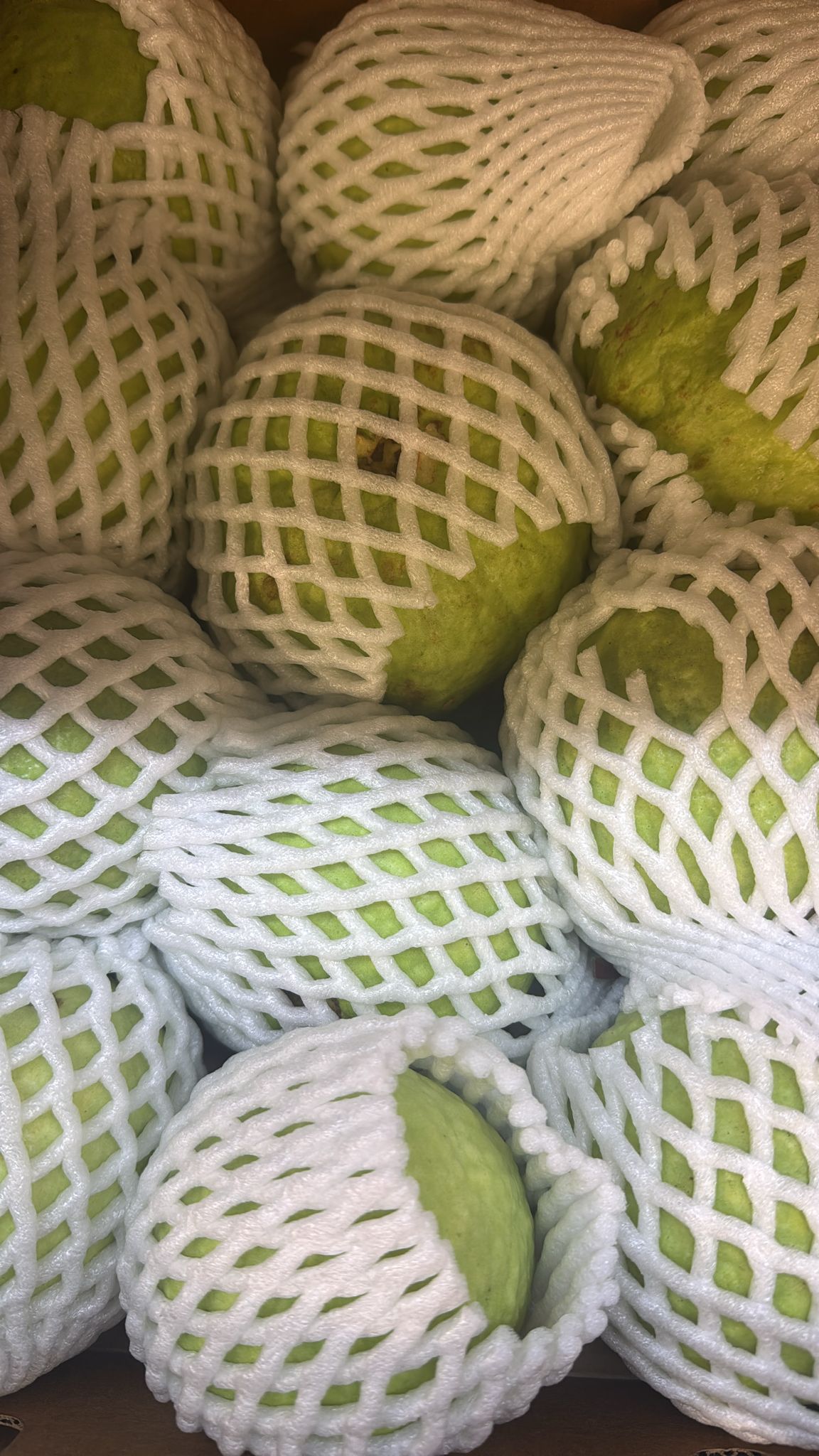 Fresh Guava