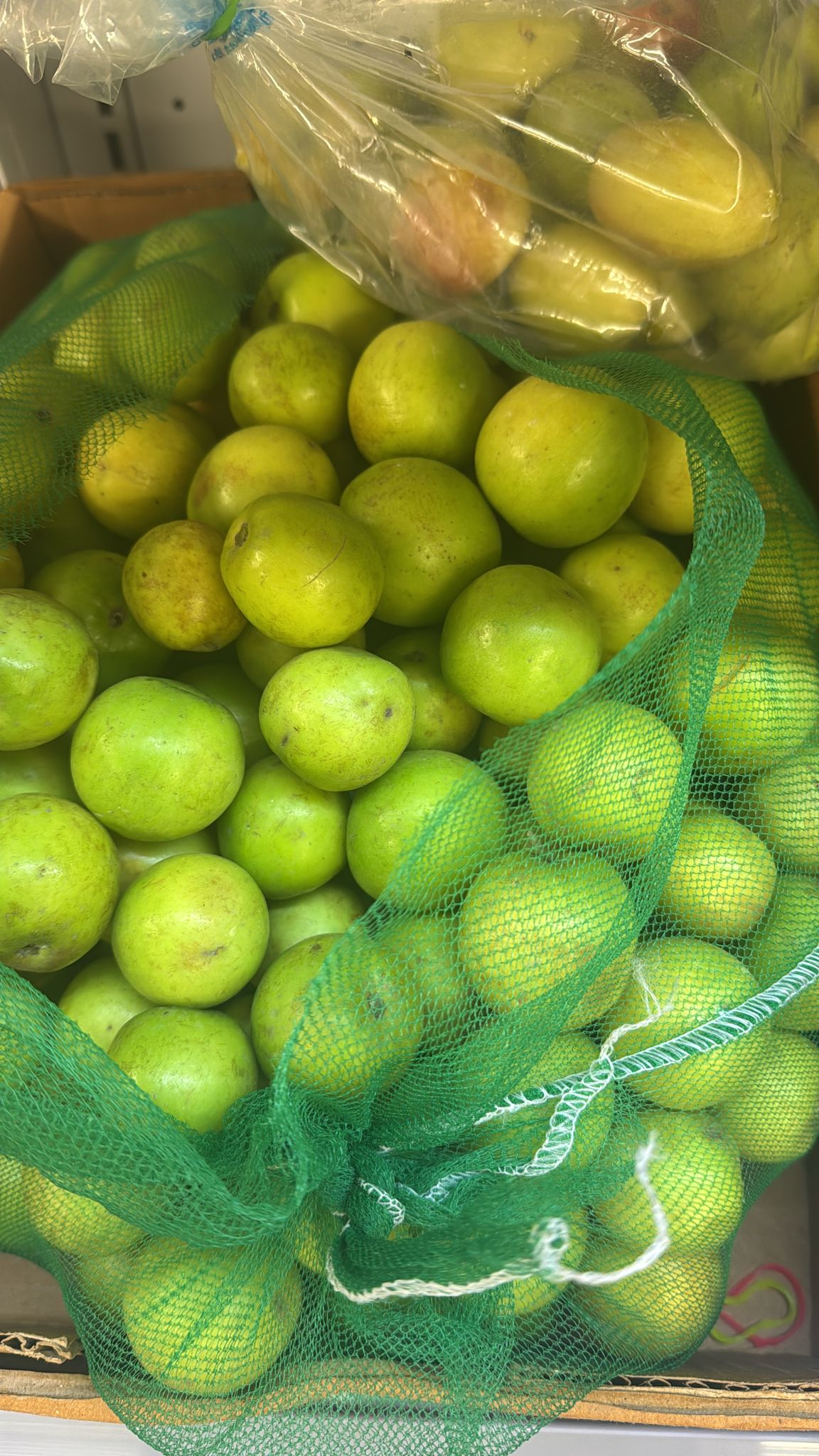 Fresh Green Plums