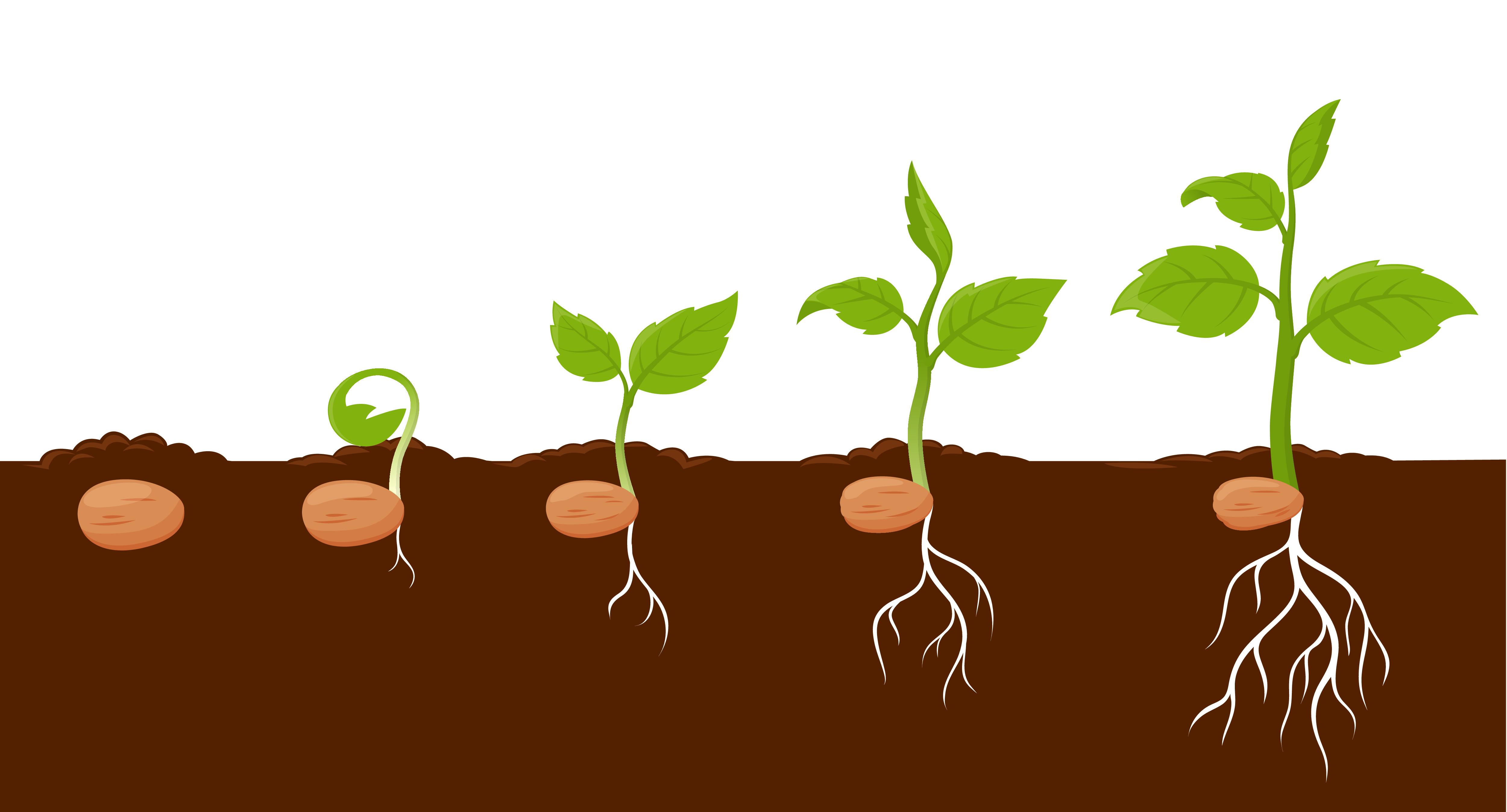 Migräne - Kopfschmerzen