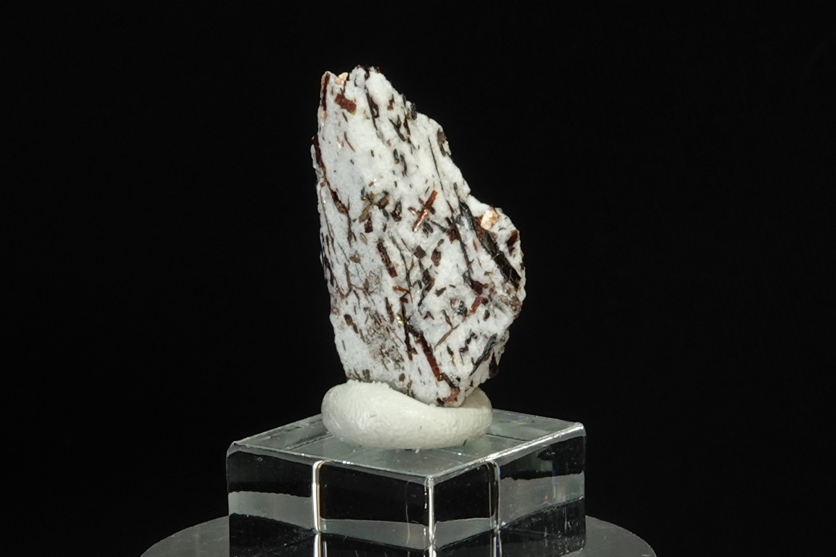 Astrophyllite sur Albite - Péninsule de Kola, Russie - 21 ct