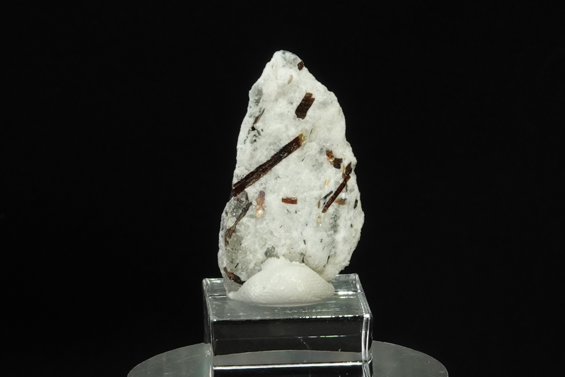  Astrophyllite sur Albite - Péninsule de Kola, Russie - 21.5 ct