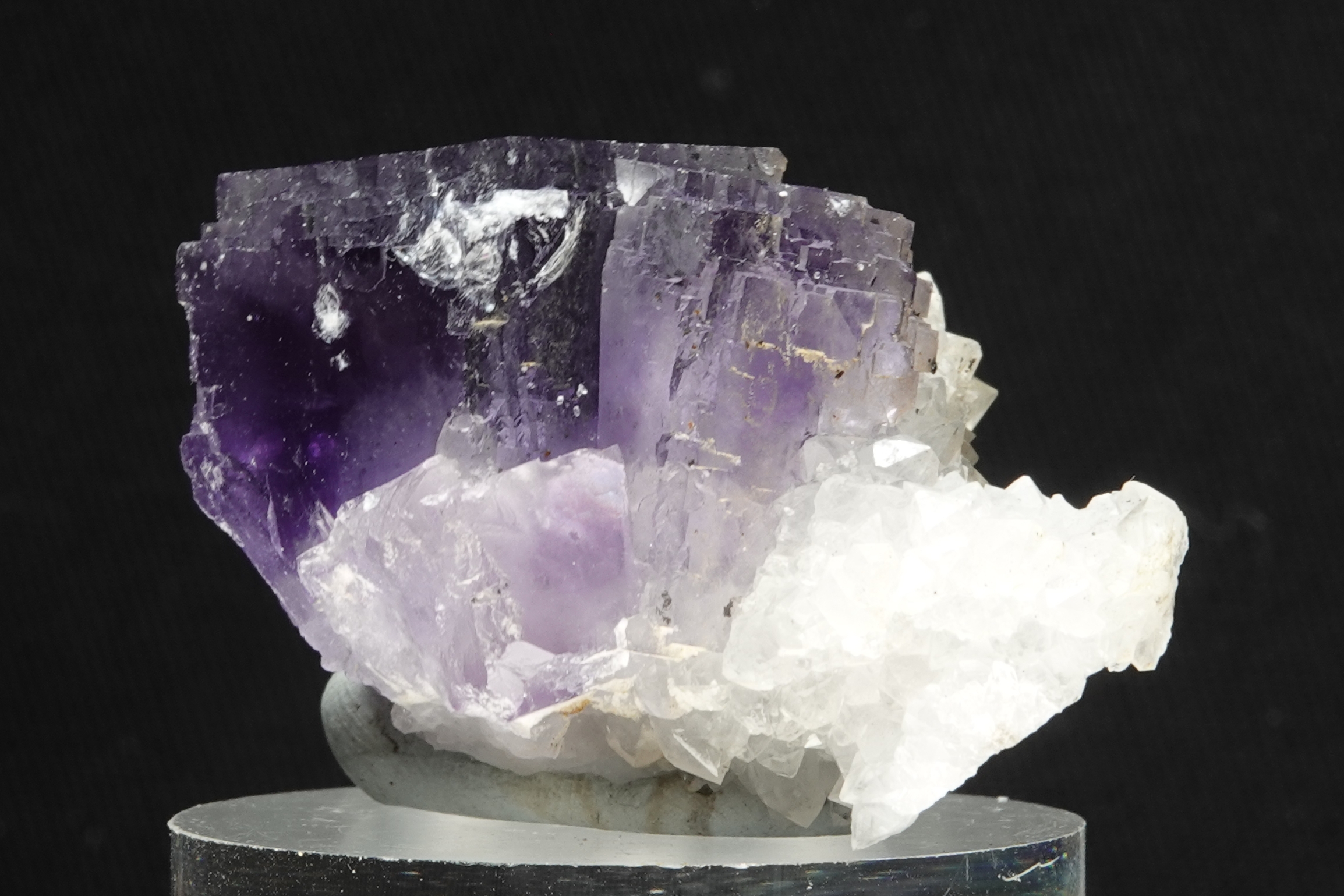 Fluorite violette sur Quartz - Berbès, Ribadesella, Asturies, Espagne