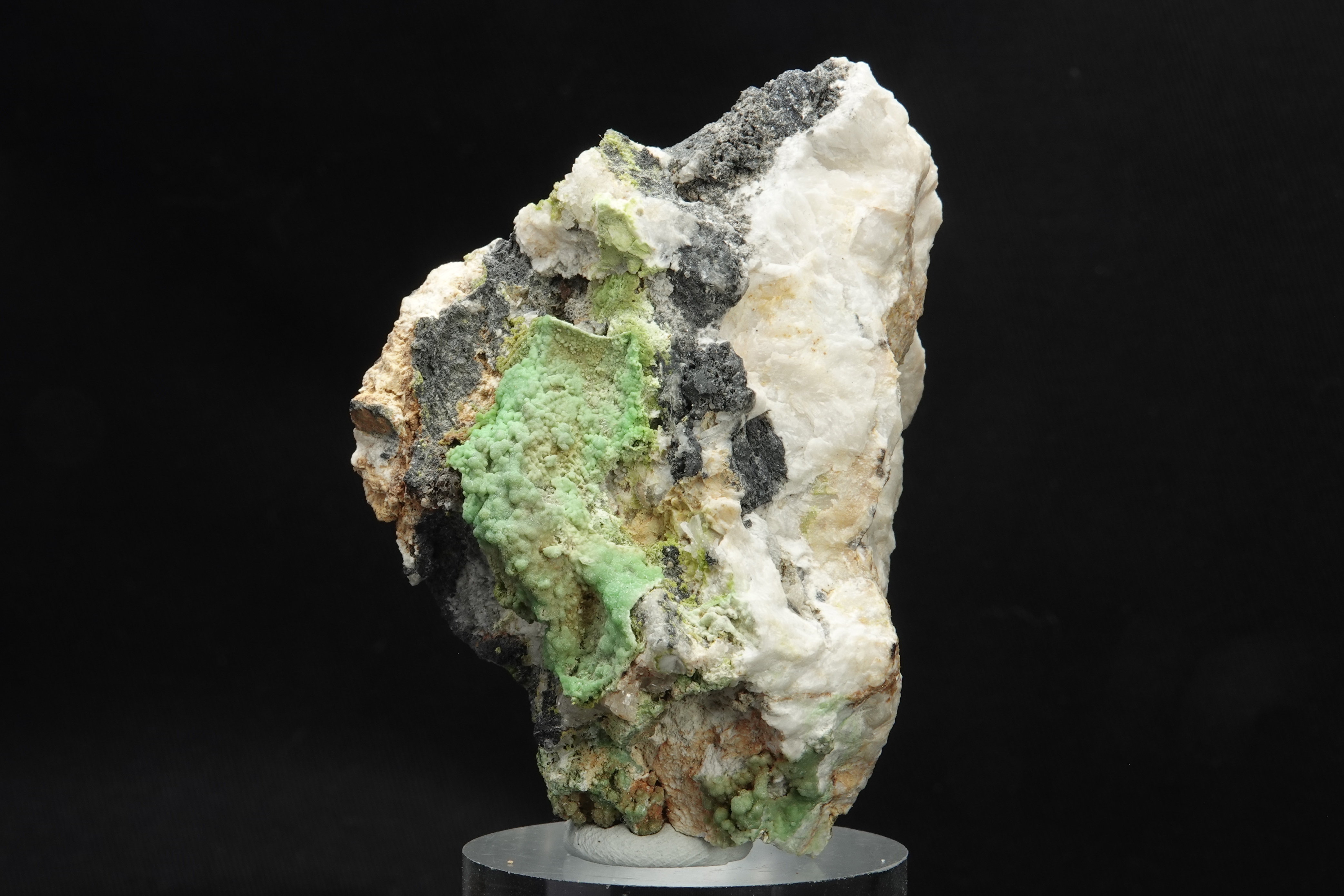 Pyromorphite sur Galène et gangue - Mine de Montevecchio, Arbus, Sardaigne, Italie - 1101 ct