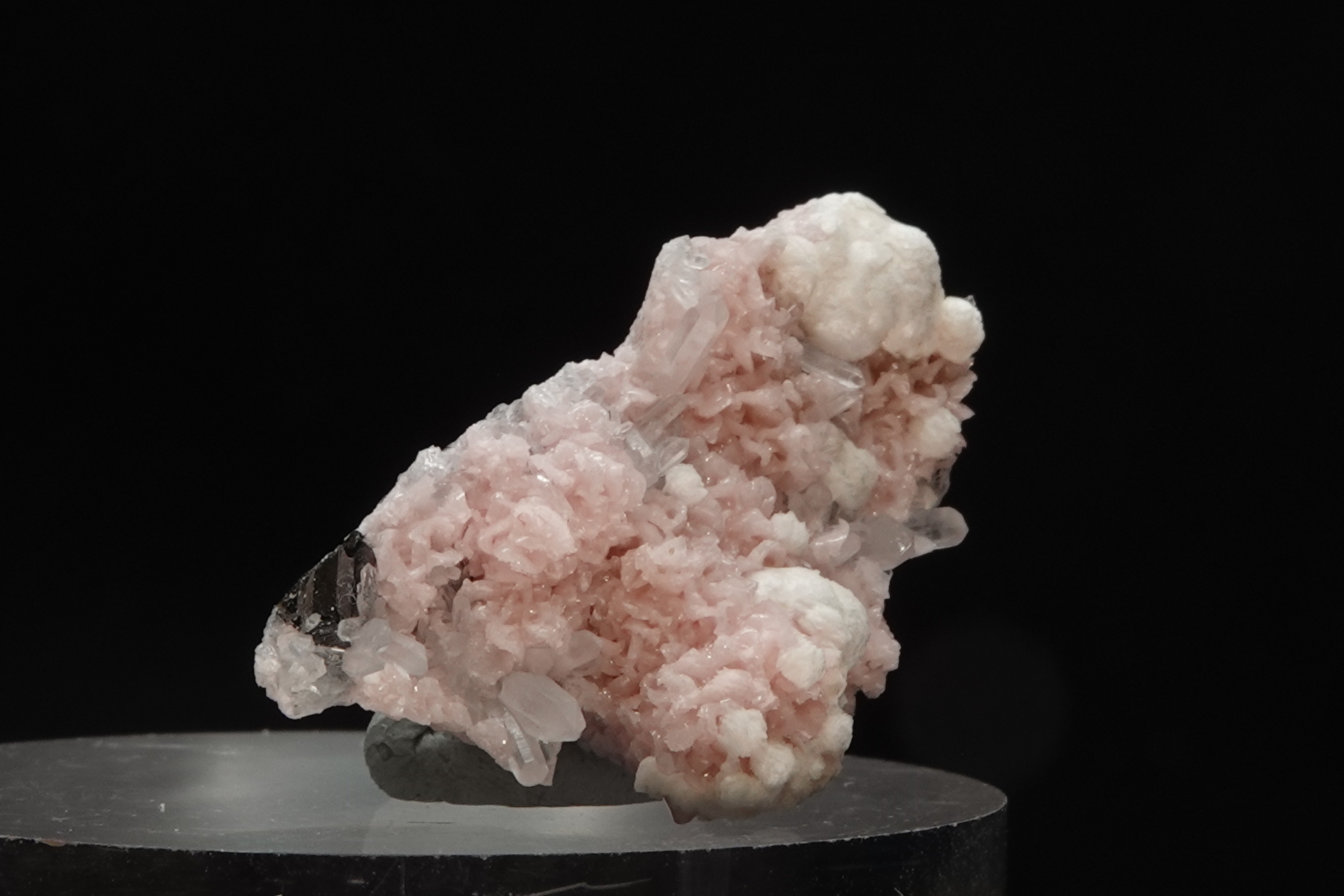 Rhodochrosite, Calcite, Quartz, Galène & Chalcopyrite - Bulgarie