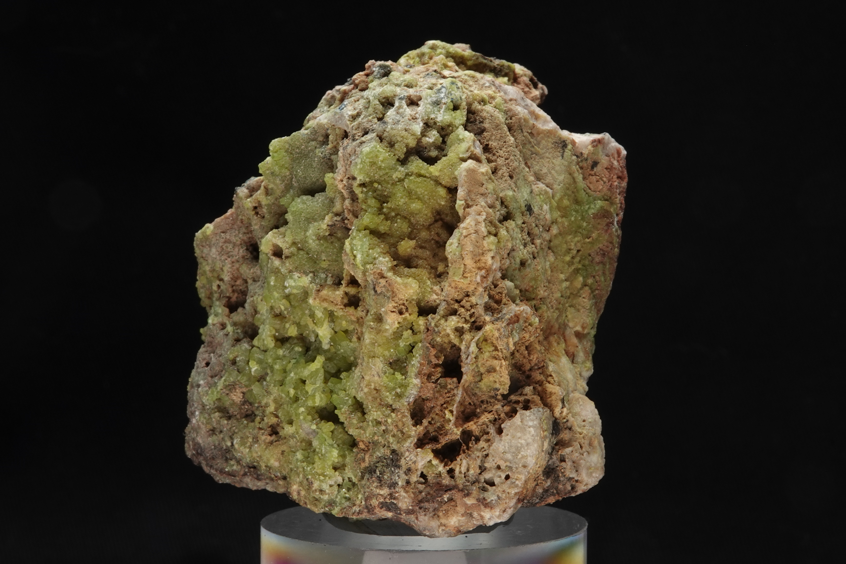 Pyromorphite sur gangue ferrugineuse - Mine de Montevecchio, Sardaigne, Italie - 995 ct