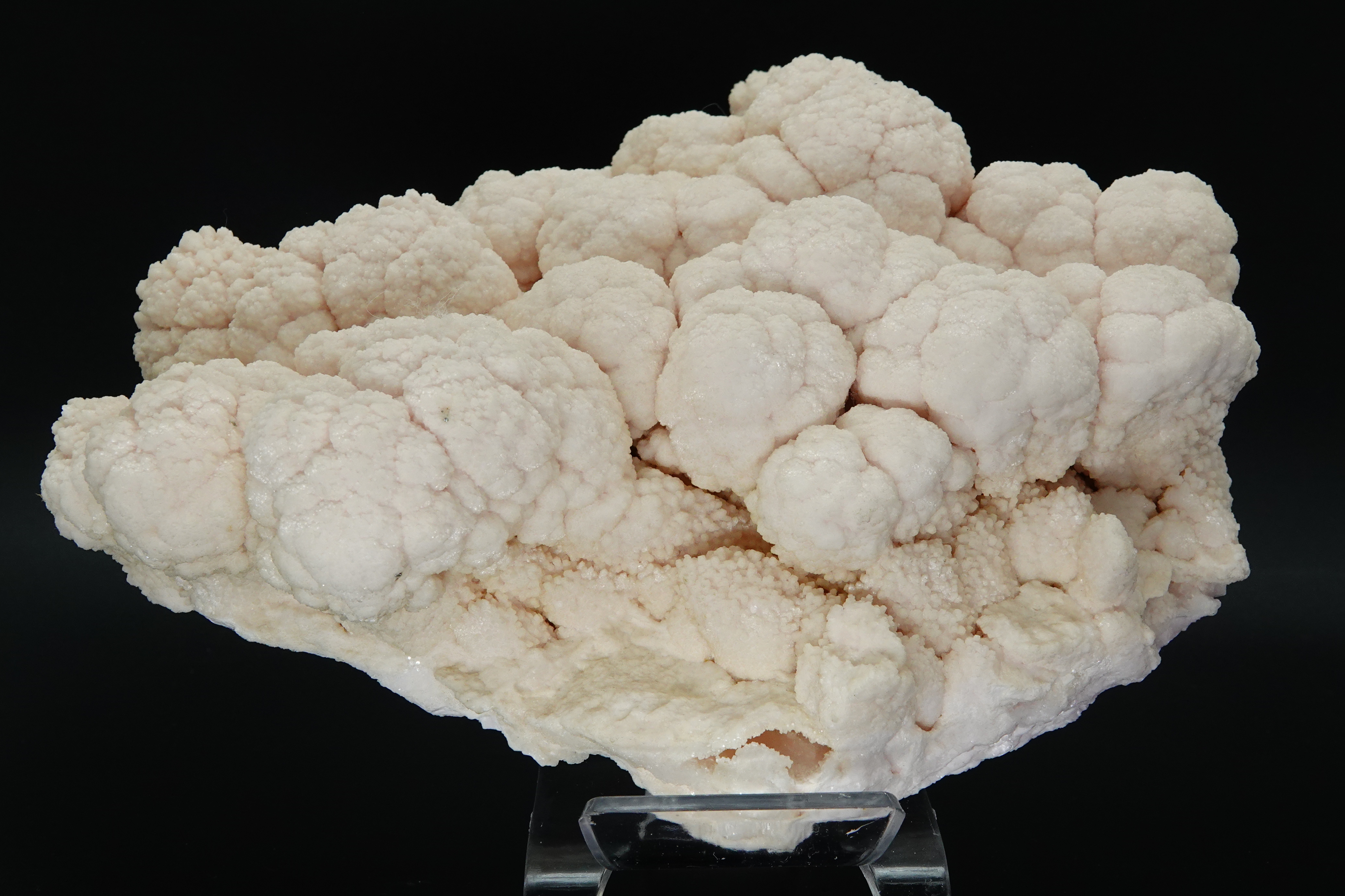 Calcite Botryoïdale avec une inclusion de Calchopyrite - Bulgarie - Qualité MUSEUM - 8830 carats