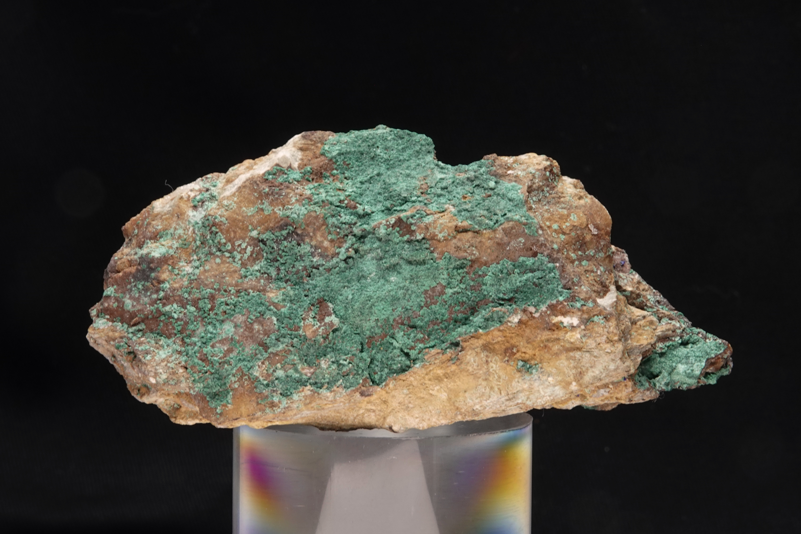 Malachite sur gangue ferrugineuse - Mine de Montevecchio, Sardaigne, Italie - 716.5 ct