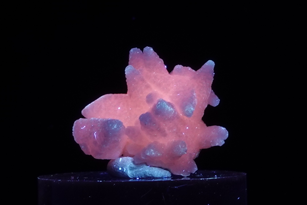 Calcite Manganoan Fluorescente - Bulgarie - 43,5 ct