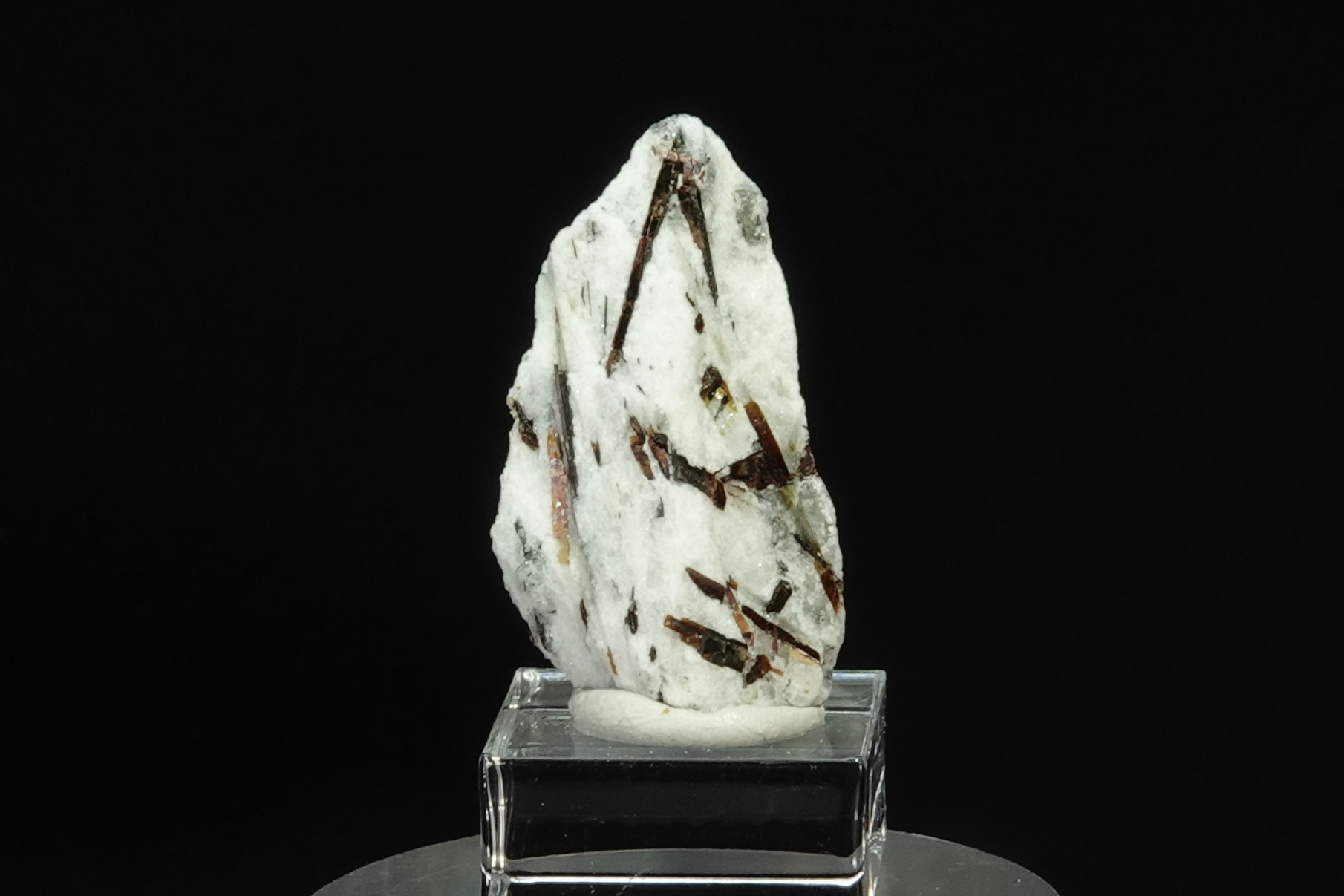  Astrophyllite sur Albite - Péninsule de Kola, Russie - 21.5 ct