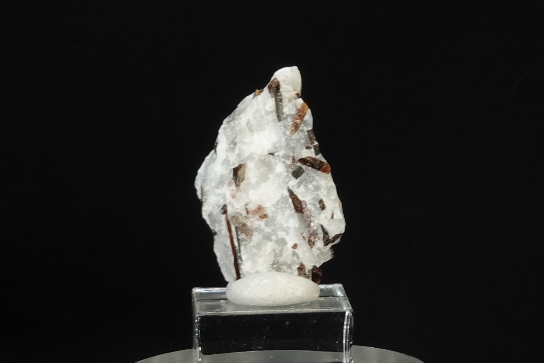 Astrophyllite sur Albite - Péninsule de Kola, Russie - 21.5 ct