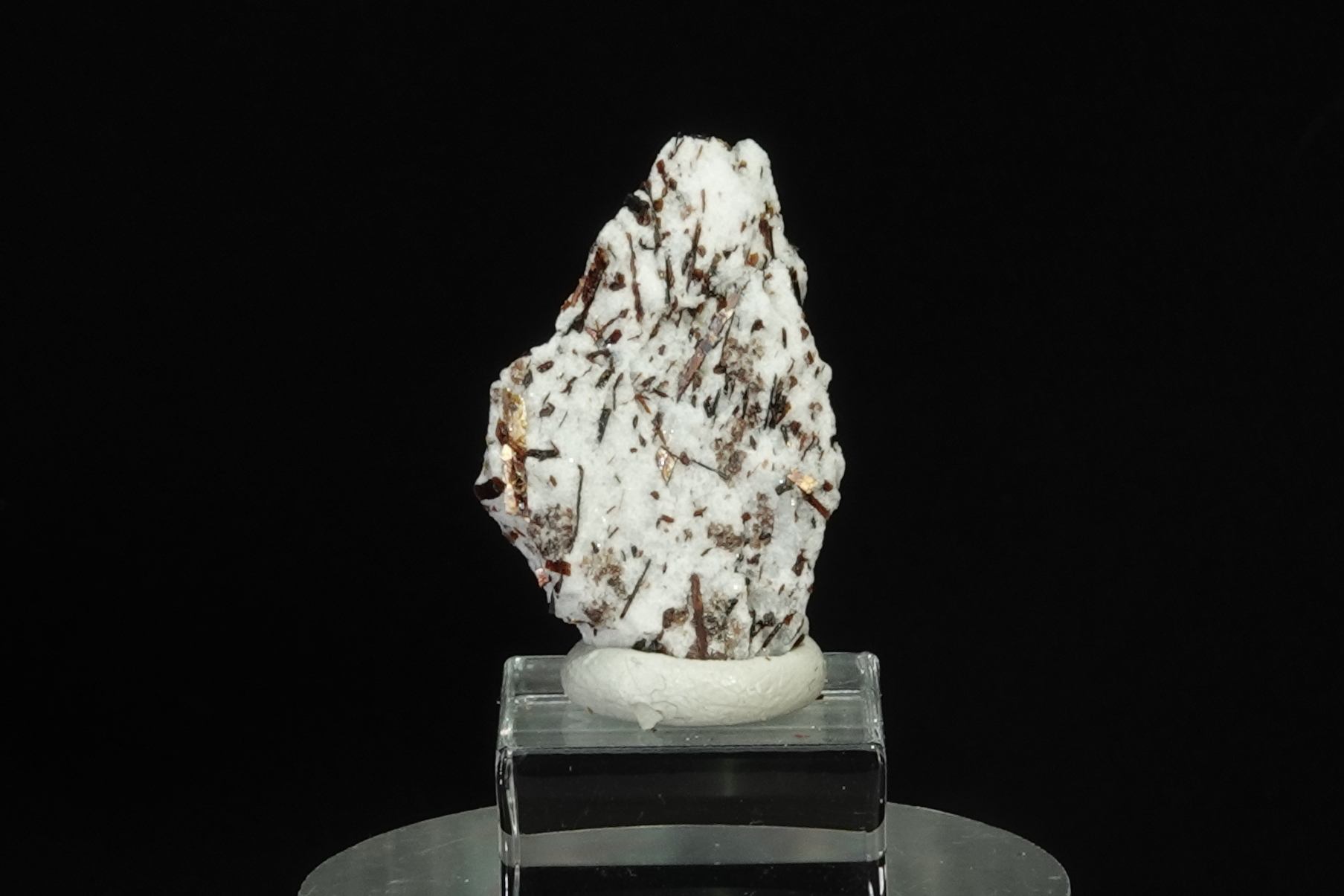Astrophyllite sur Albite - Péninsule de Kola, Russie - 21 ct
