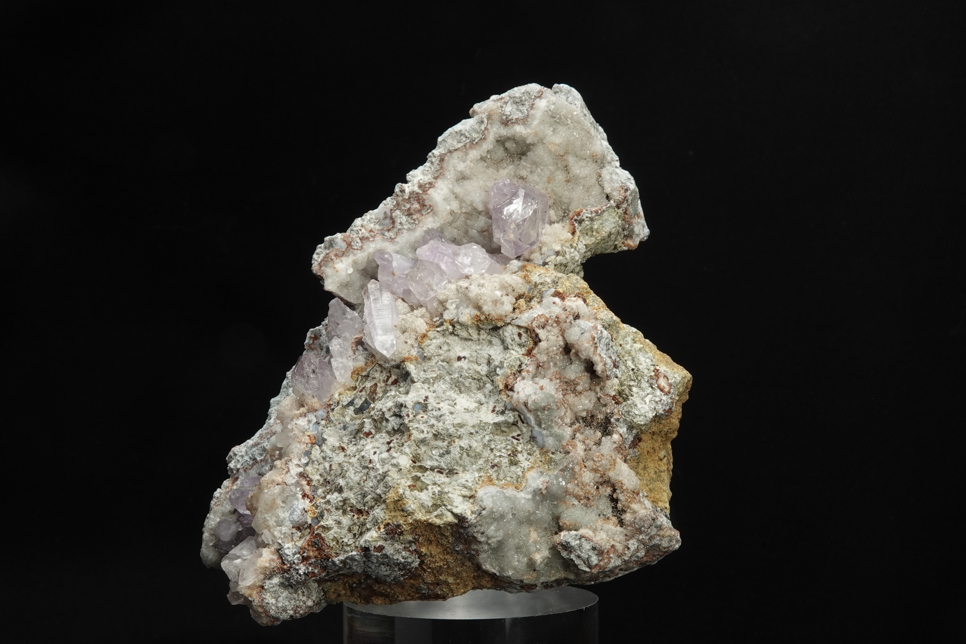 Améthyste sur gangue - Osilo, Sassari, Sardaigne, Italie - 1150 ct