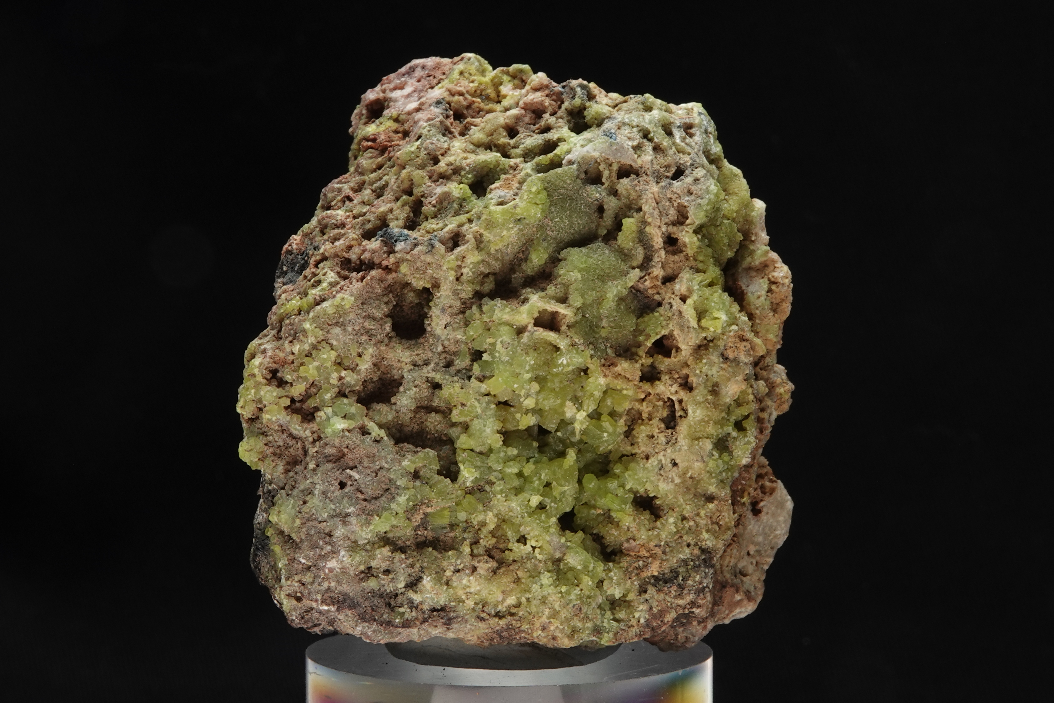 Pyromorphite sur gangue ferrugineuse - Mine de Montevecchio, Sardaigne, Italie - 995 ct