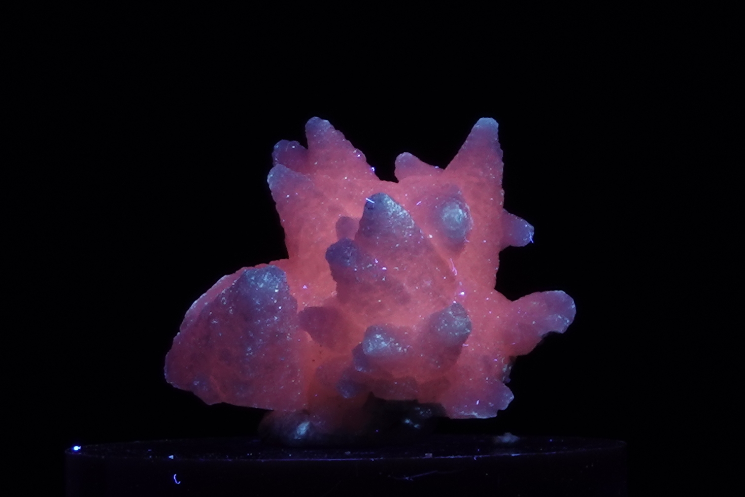 Calcite Manganoan Fluorescente - Bulgarie - 43,5 ct