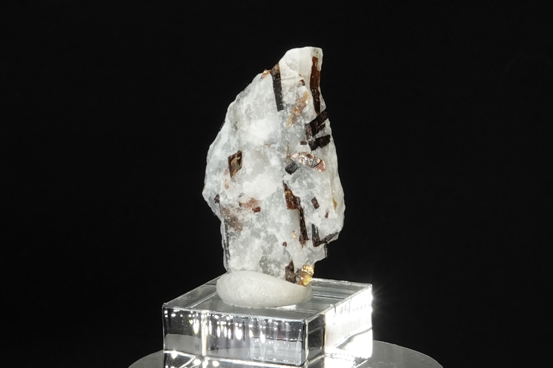 Astrophyllite sur Albite - Péninsule de Kola, Russie - 21.5 ct