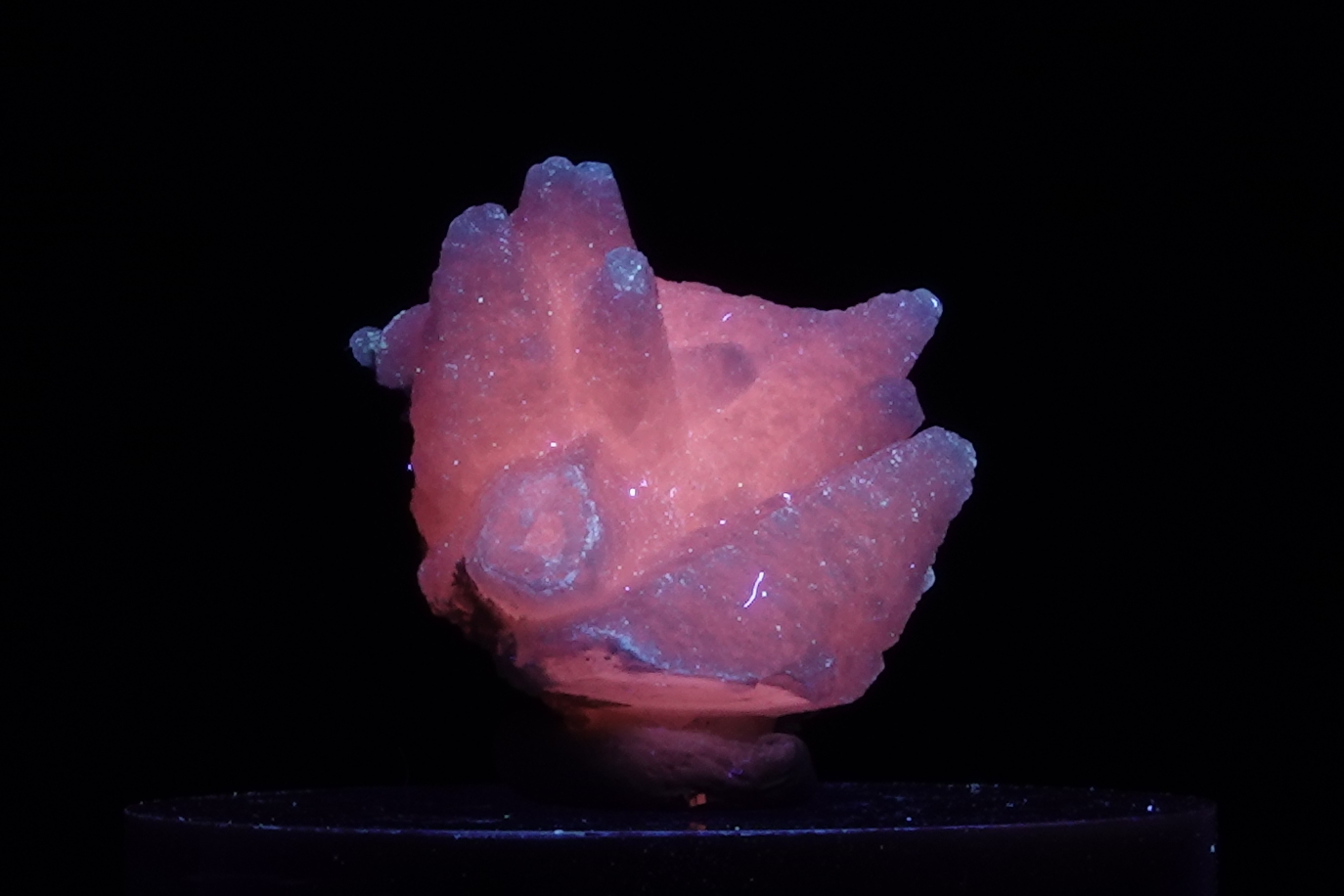 Calcite Manganoan Fluorescente - Bulgarie - 43,5 ct
