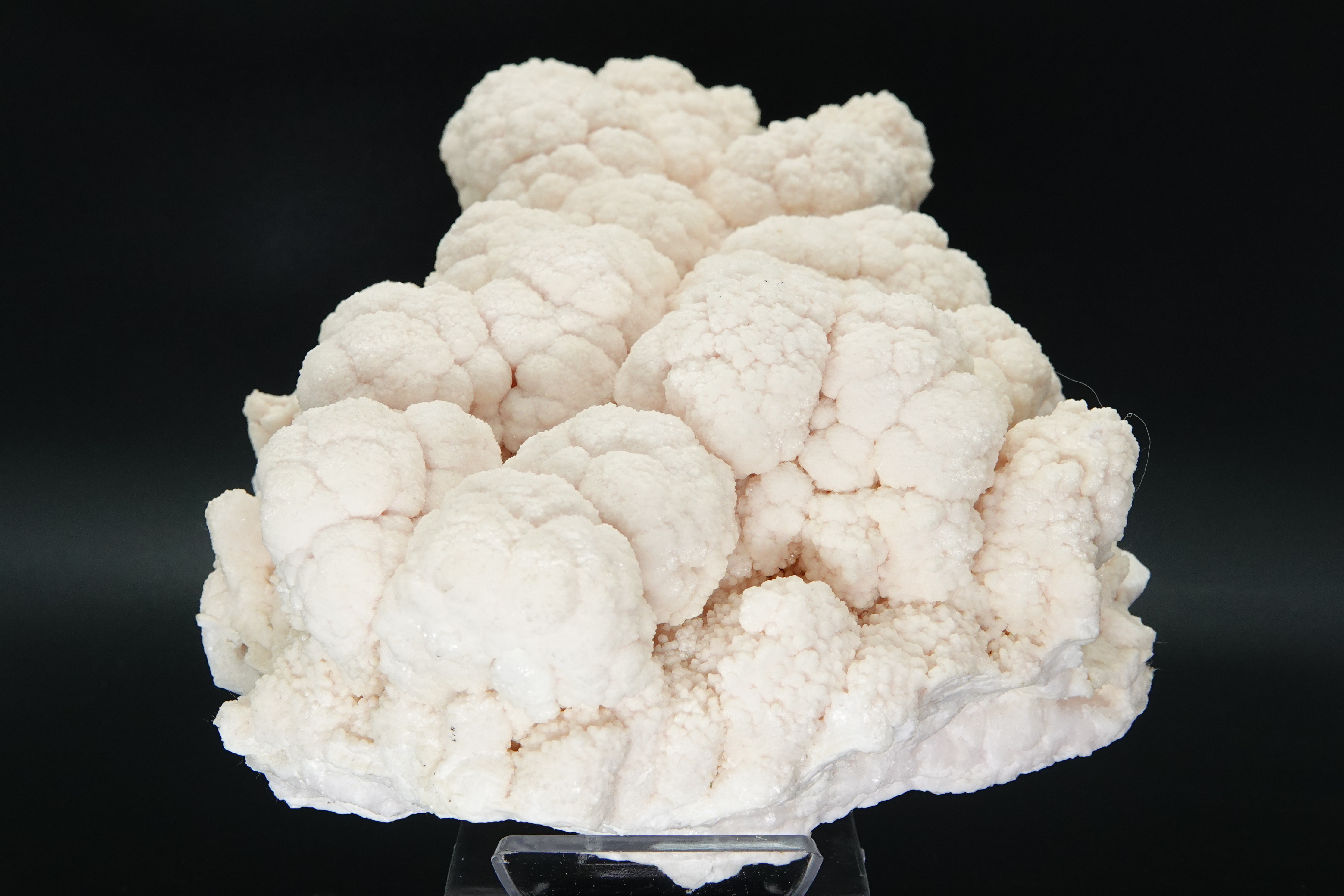 Calcite Botryoïdale avec une inclusion de Calchopyrite - Bulgarie - Qualité MUSEUM - 8830 carats