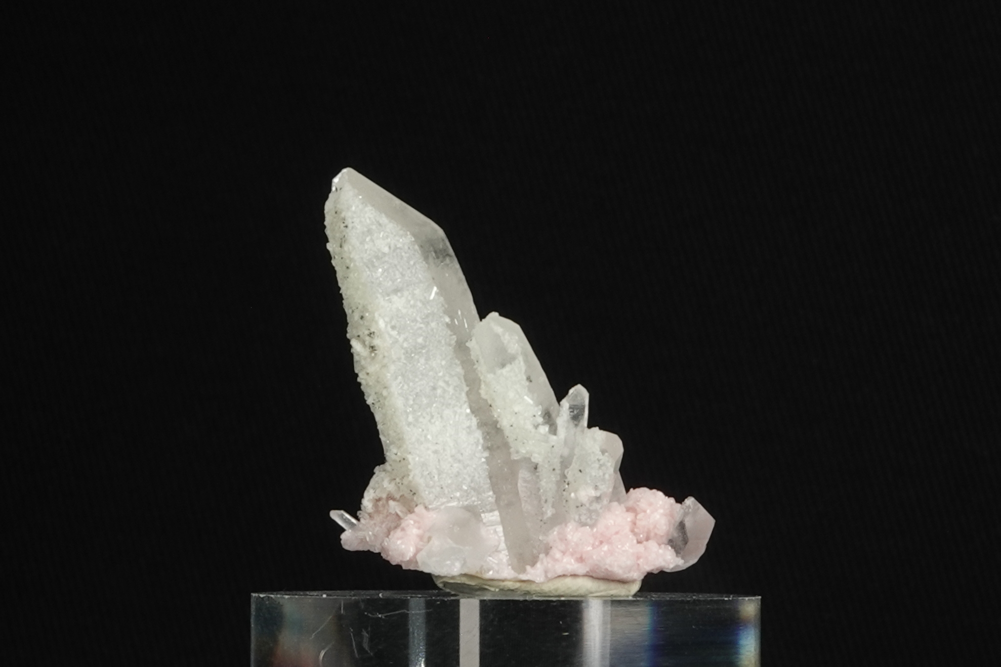 Rhodochrosite - Mine de Davidkovo fermée - Bulgarie -  45.5 ct